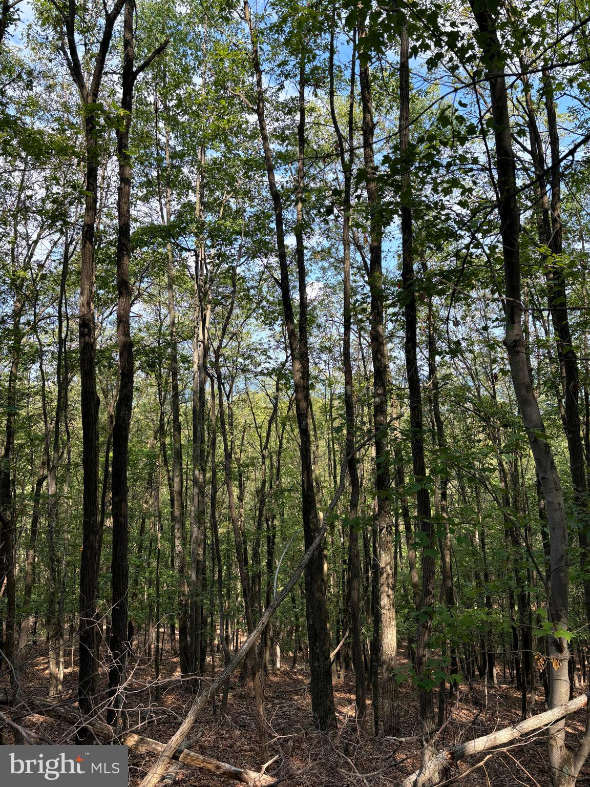 VALLEY HIGH TIMBER FARMS - Land