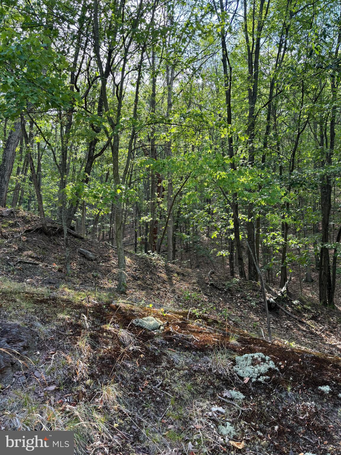VALLEY HIGH TIMBER FARMS - Land