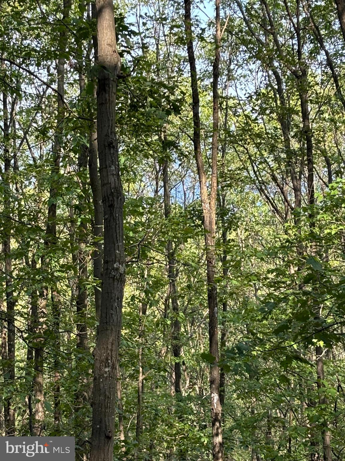 VALLEY HIGH TIMBER FARMS - Land