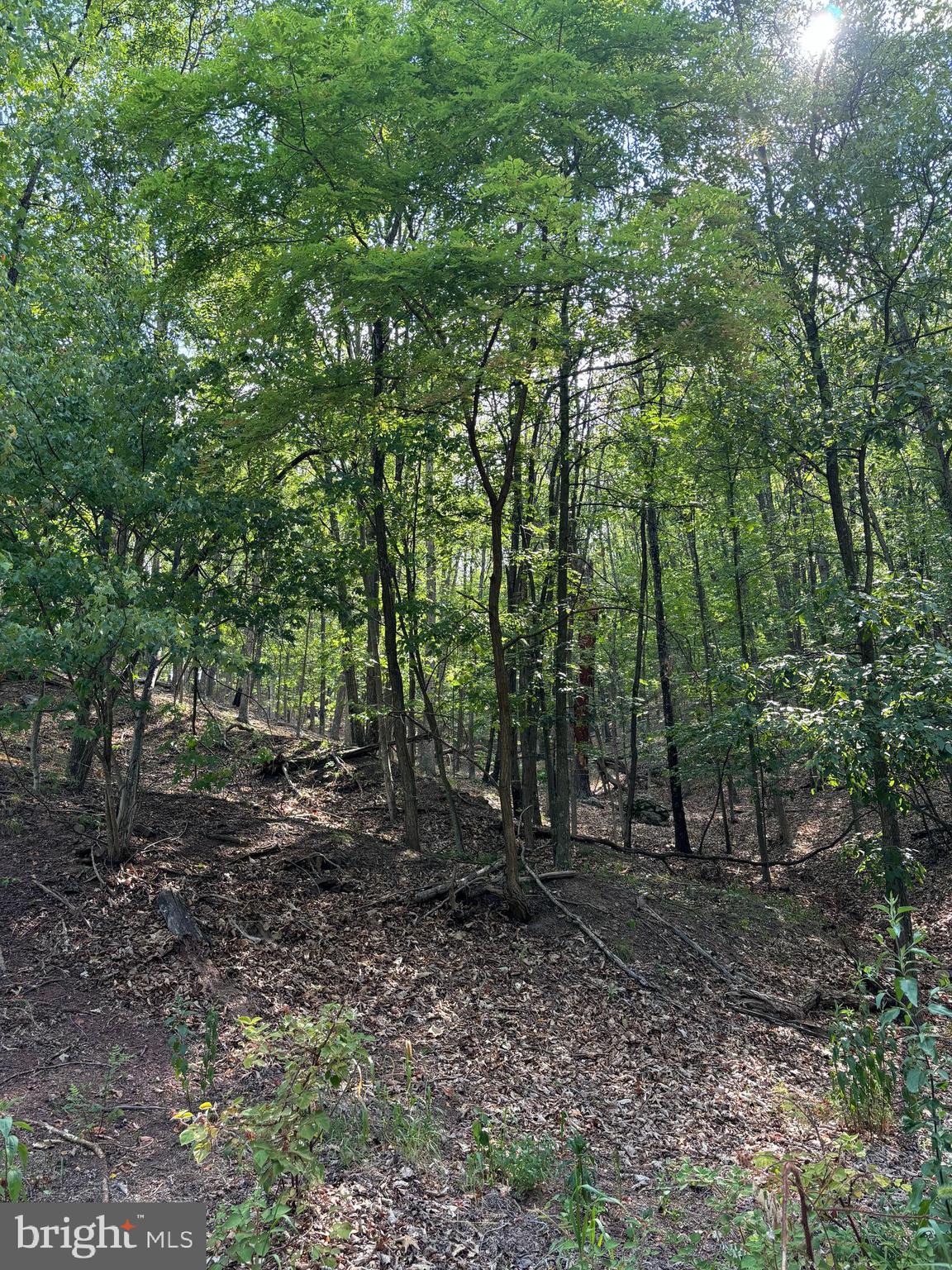 VALLEY HIGH TIMBER FARMS - Land