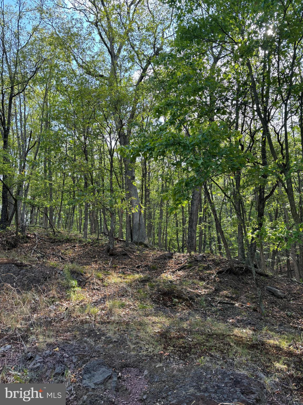 VALLEY HIGH TIMBER FARMS - Land