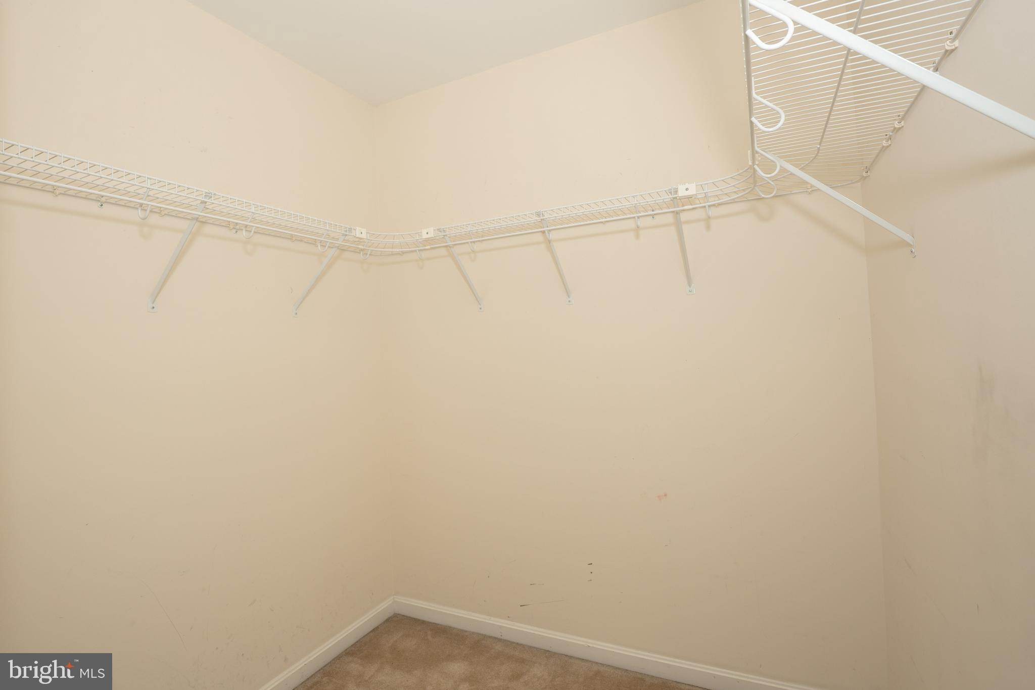 SHAFFER HILLS - Residential Lease