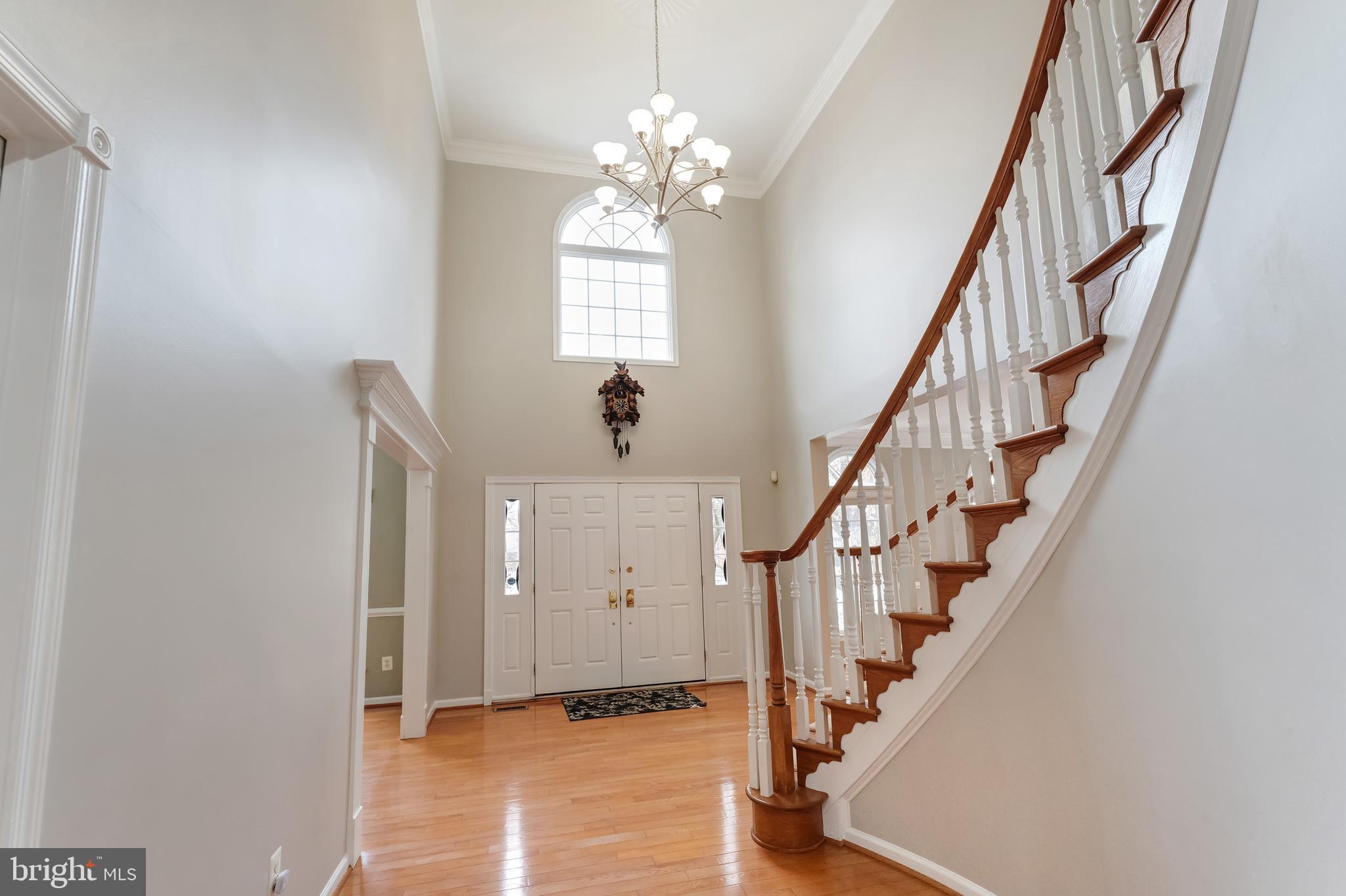 2859 CHERRY BRANCH LANE