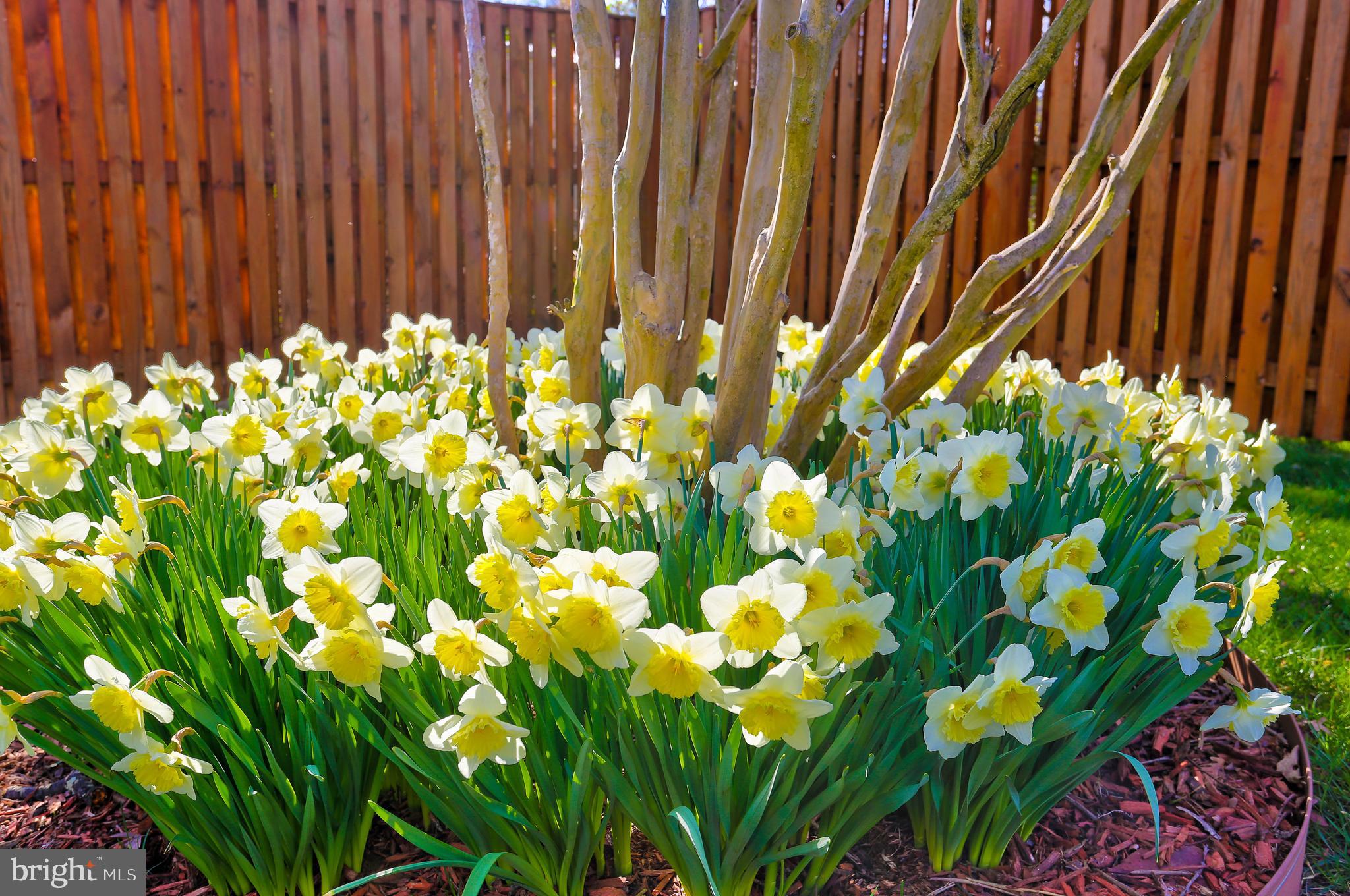 CATONSVILLE - Residential