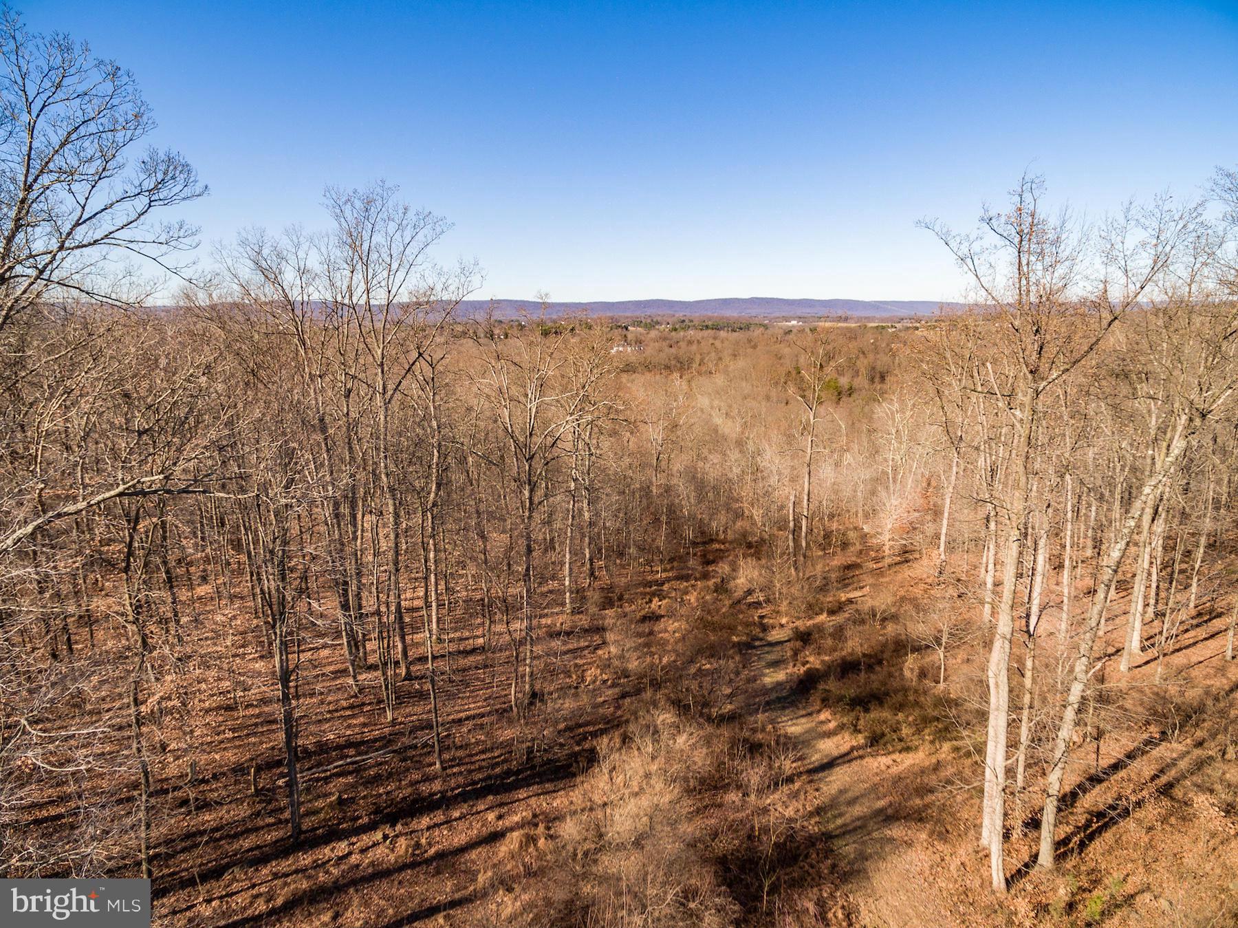 CATOCTIN CREEK OVERLOOK - Land