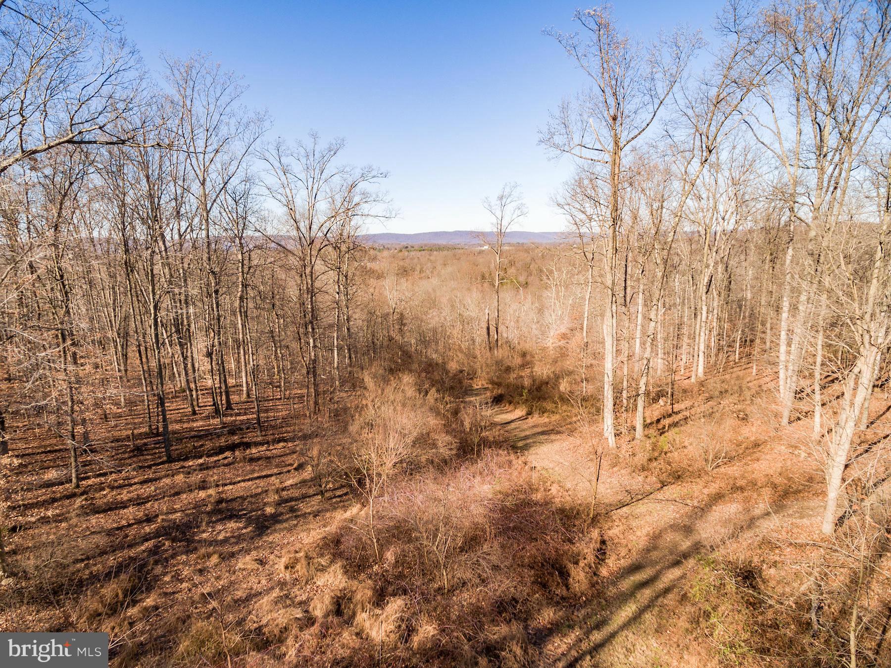CATOCTIN CREEK OVERLOOK - Land