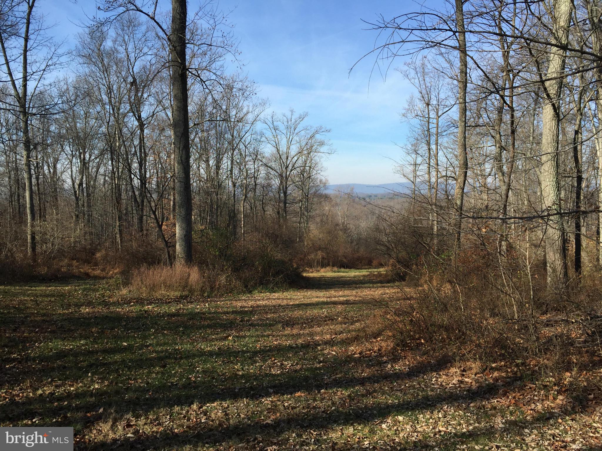 CATOCTIN CREEK OVERLOOK - Land