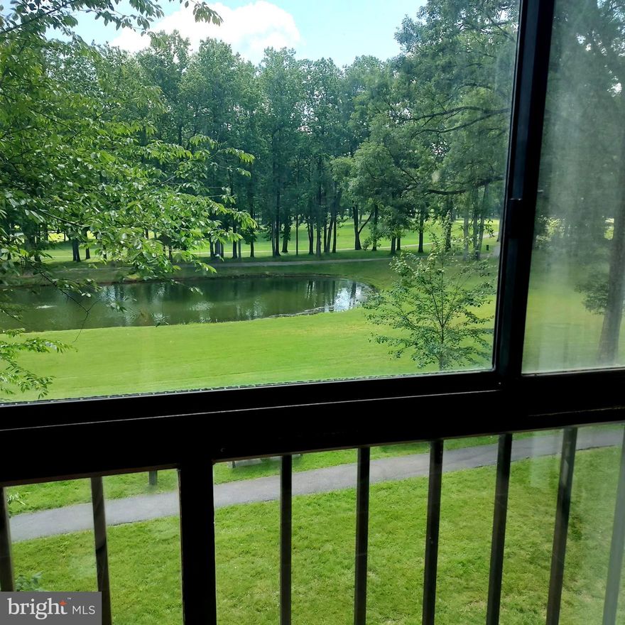 OH, THE VIEW!  FROM EVERY WINDOW!  Enjoy the convenience of living in this recently updated 1 BR, 1BA condo.  55+ Senior Living with so much to do -- dining with friends in the Clubhouse Restaurants, borrowing books from the Library,  enjoying the Pools, the Fitness center, and Clubs and Organizations to meet any interest.  Or watch nature from the enclosed Sunroom - great view no matter the Season.  Updated flooring, appliances, paint.  Monthly fee includes Cable and Internet.