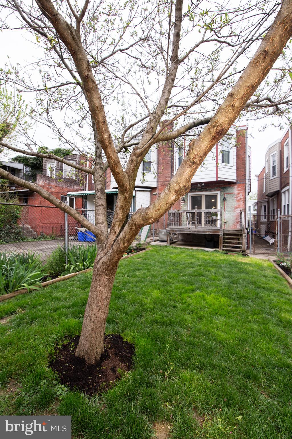 CEDAR PARK - Residential