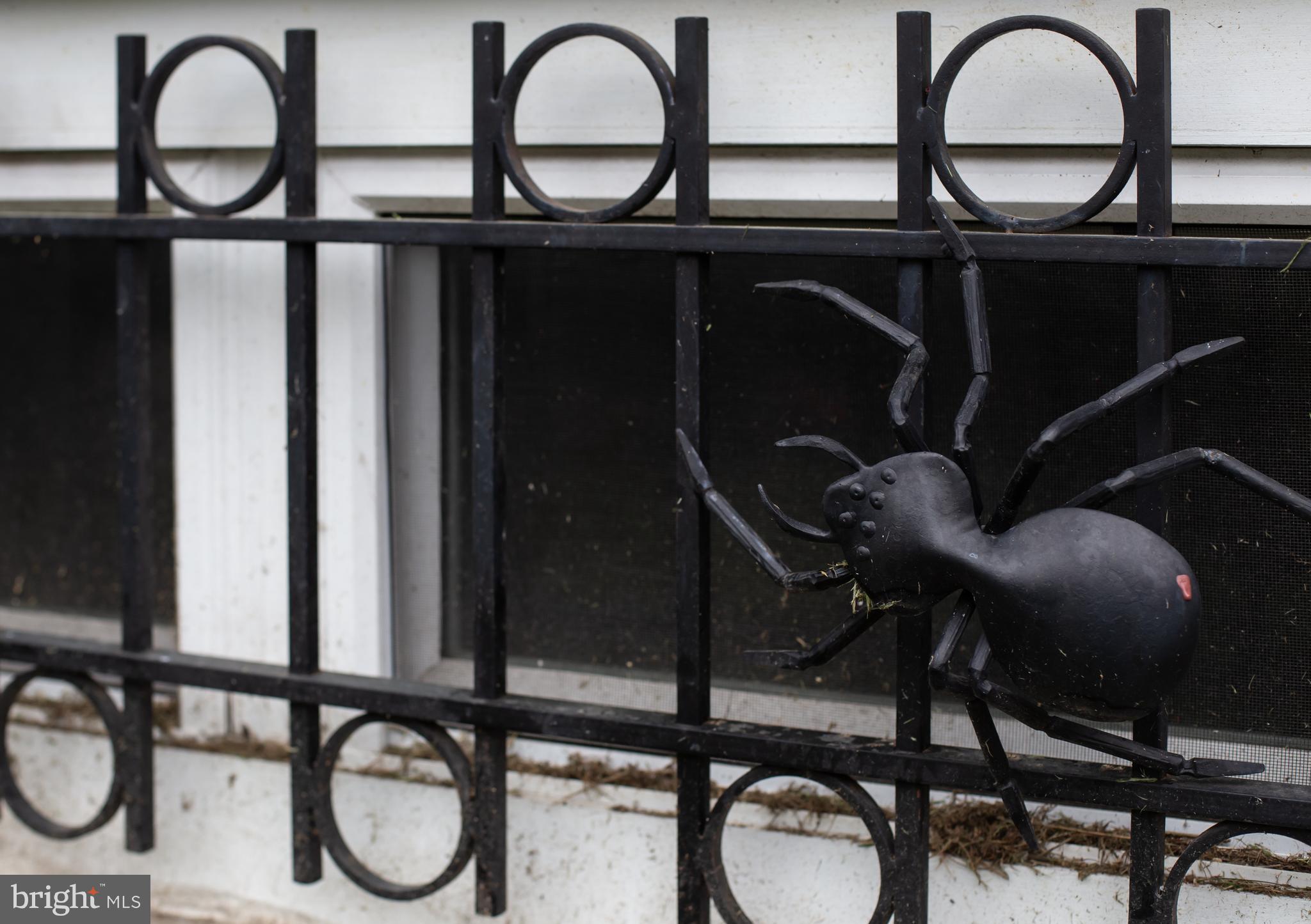 CEDAR PARK - Residential