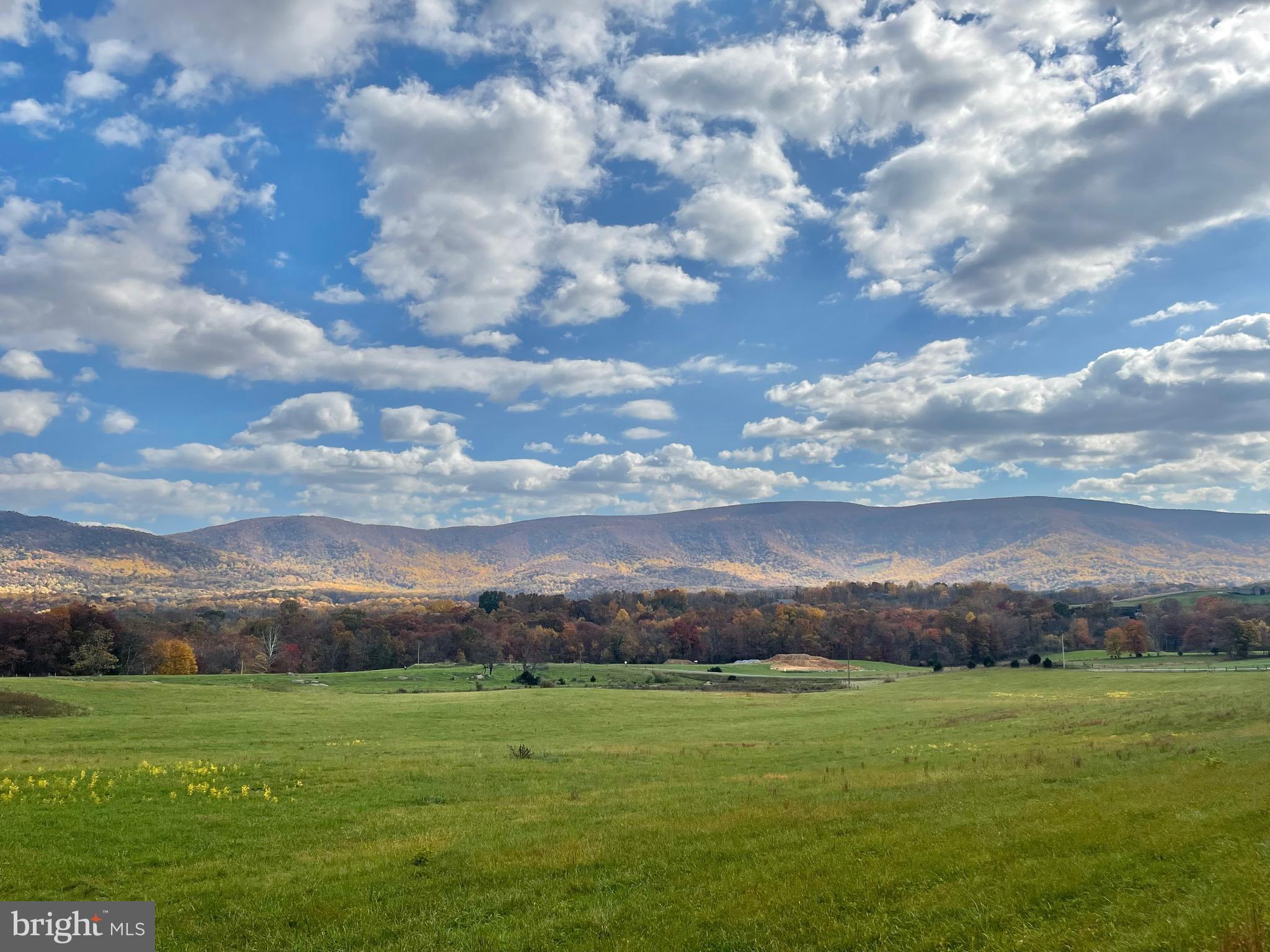 Lot 9 BUCK MOUNTAIN ROAD