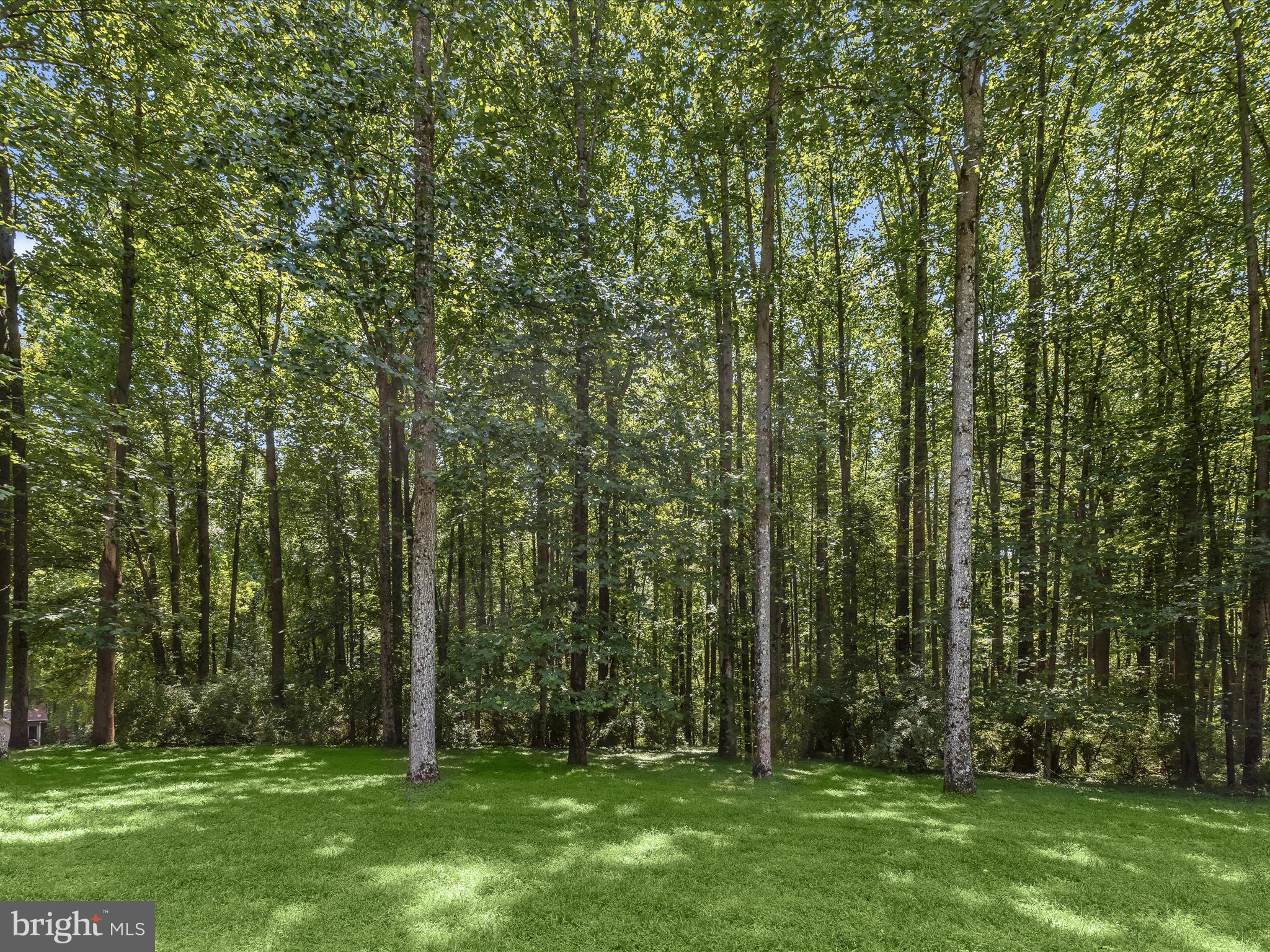 MEADOWOOD - Residential