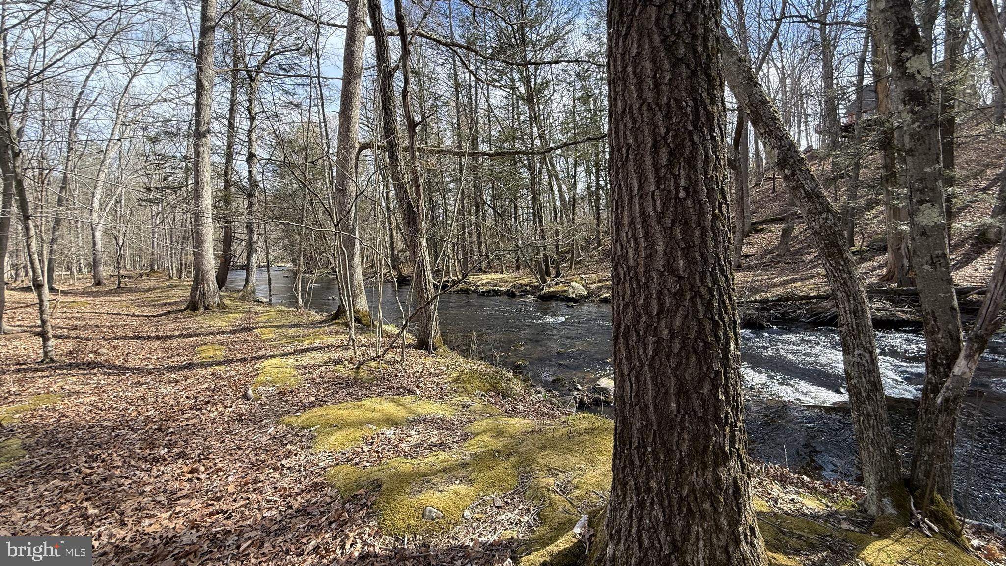 SAW CREEK ESTATES - Residential