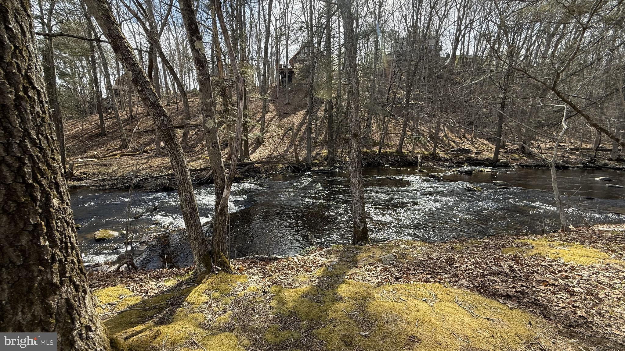 SAW CREEK ESTATES - Residential