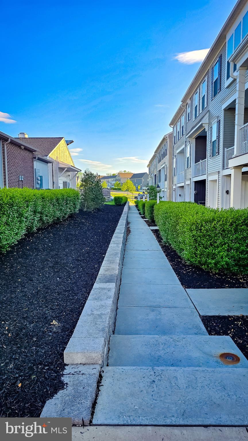 ARCONA - Residential Lease