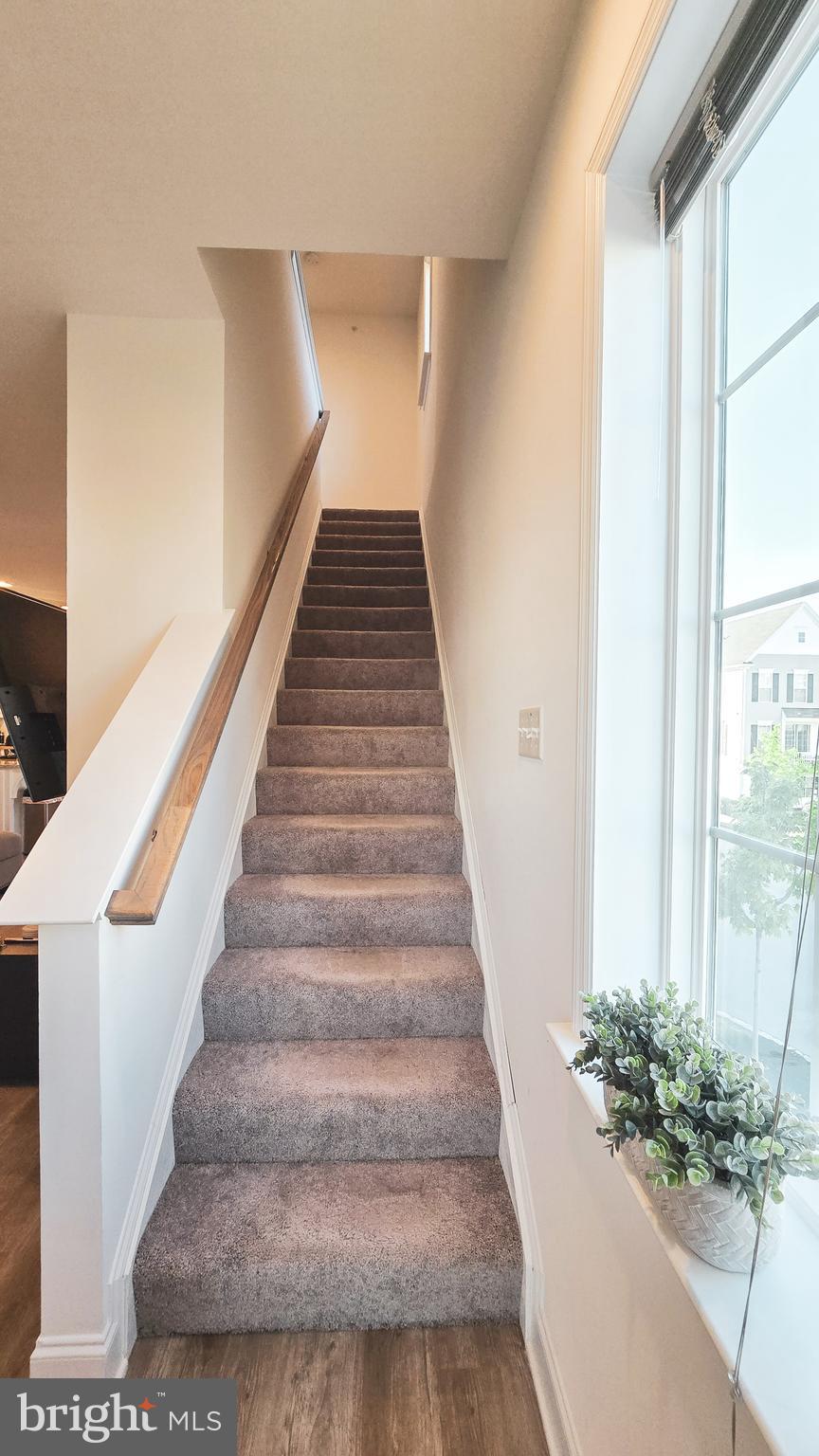 ARCONA - Residential Lease