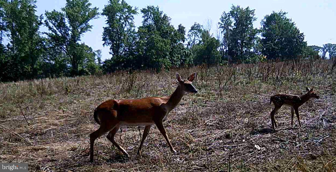 ANDERSON MILL RD