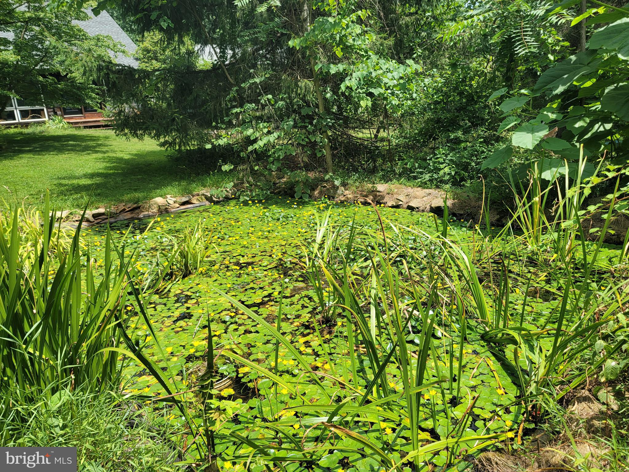 MOUNT PLEASANT EST - Residential