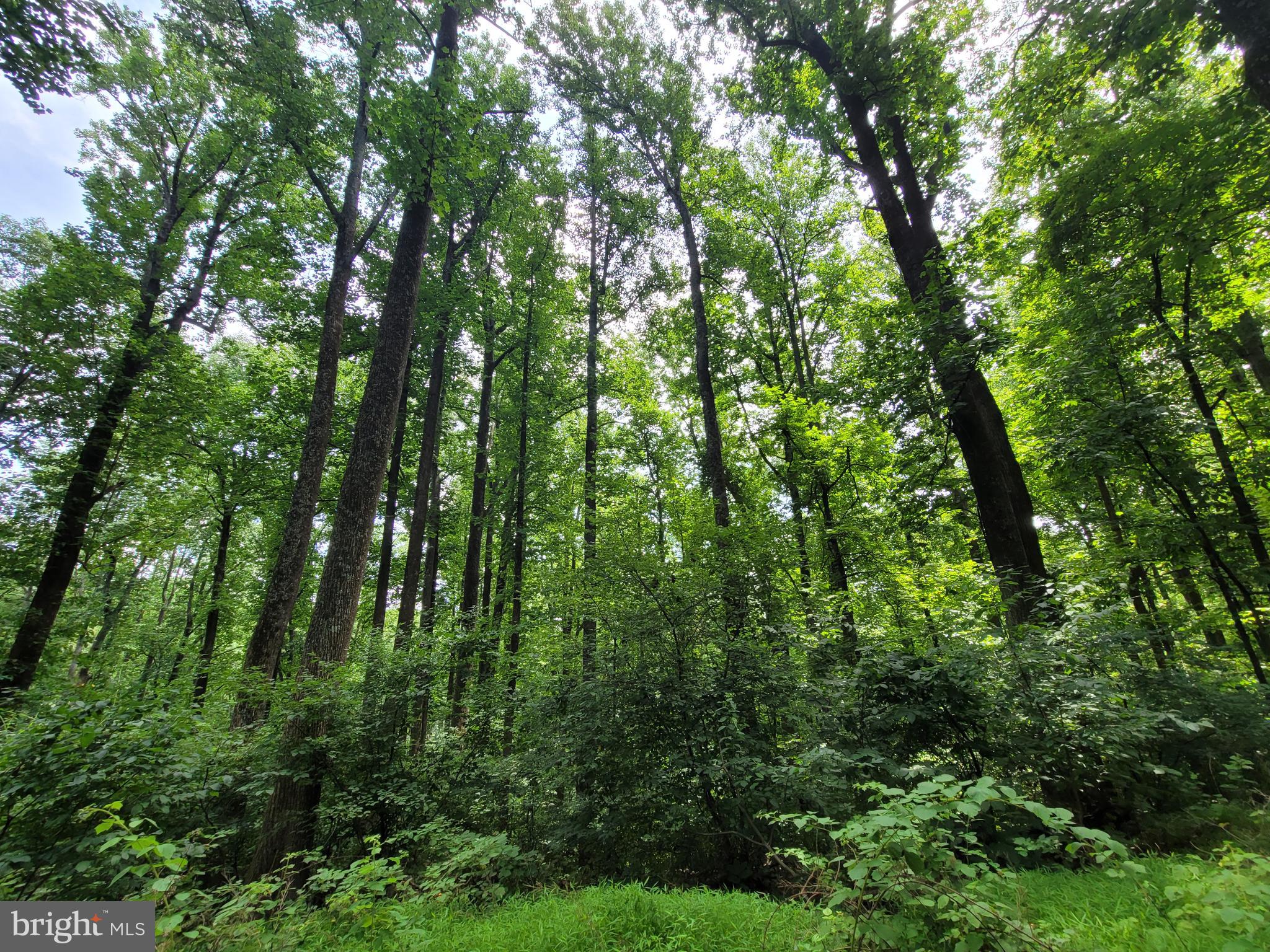 MOUNT PLEASANT EST - Residential