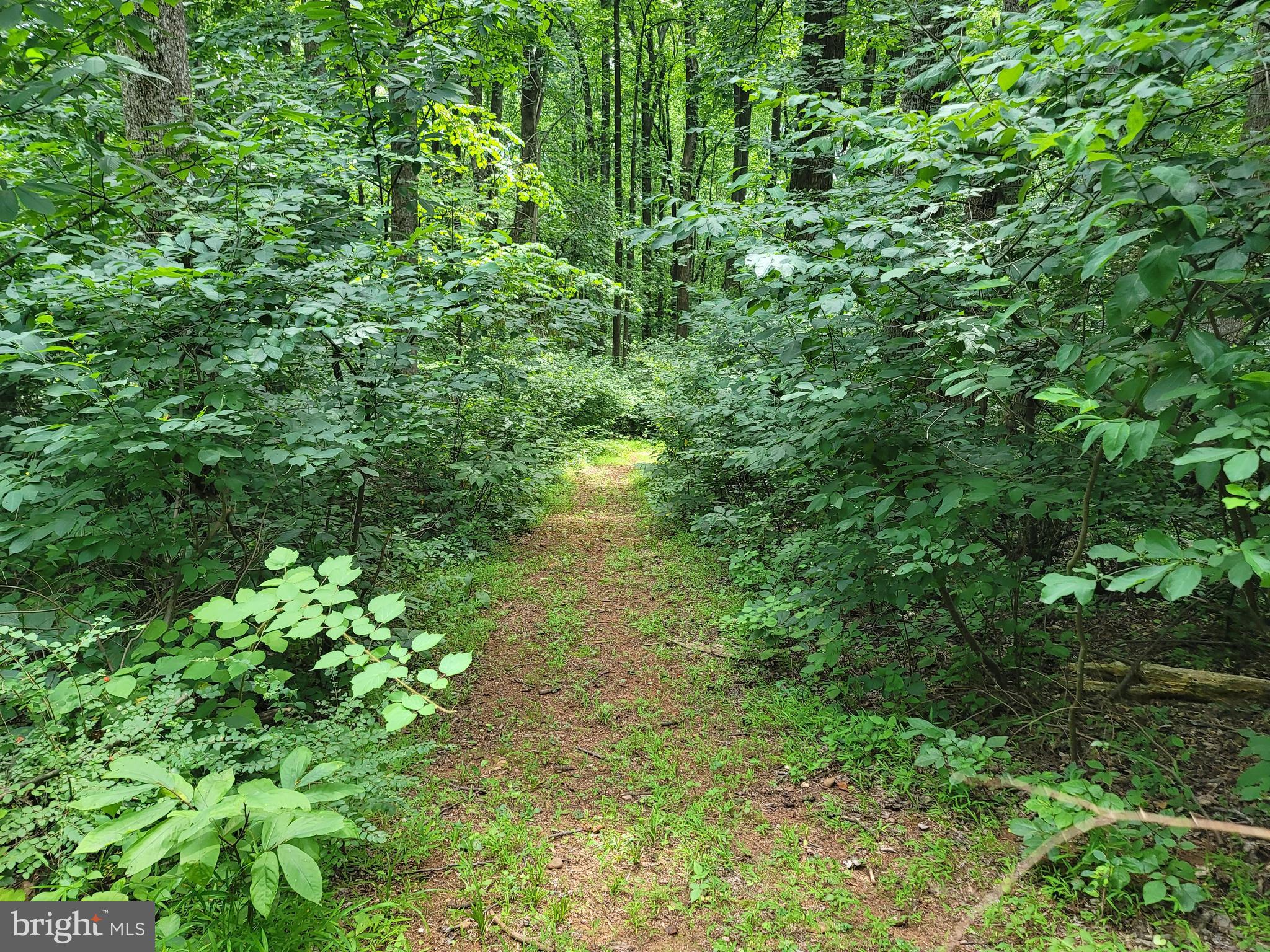 MOUNT PLEASANT EST - Residential