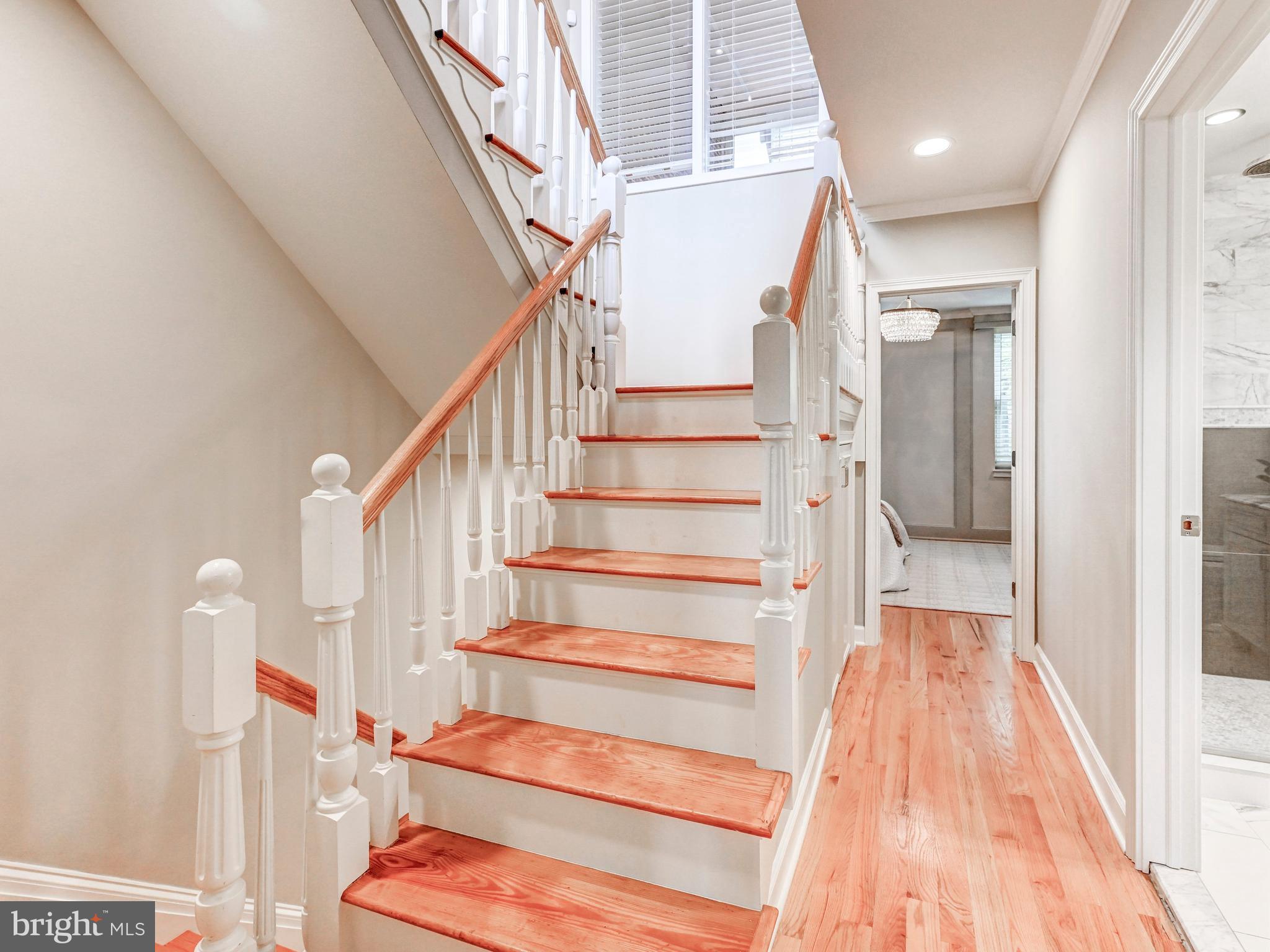 BUTCHERS HILL - Residential