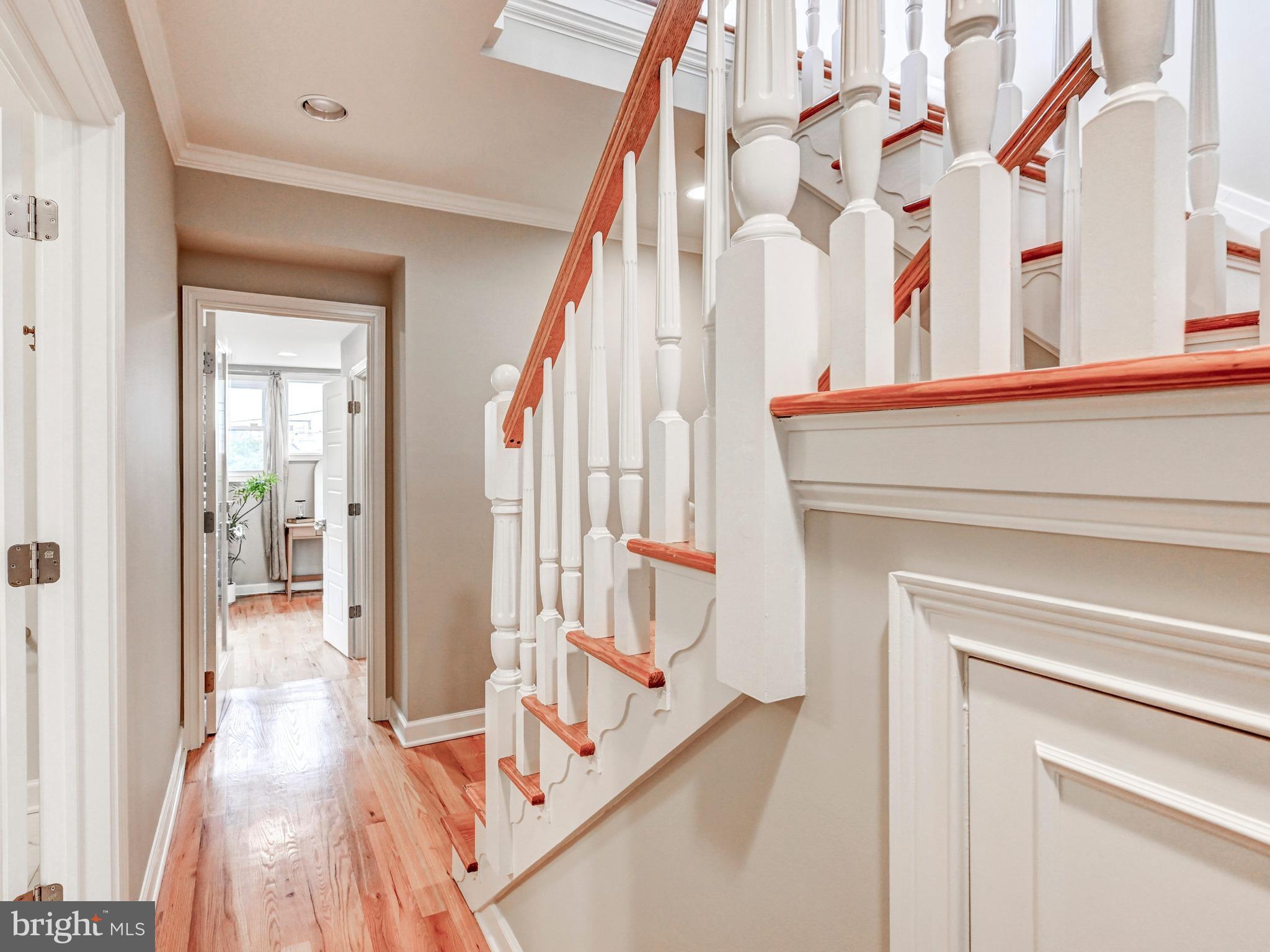 BUTCHERS HILL - Residential