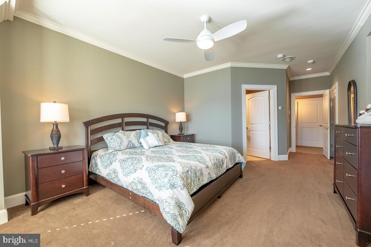 ROCK LODGE ROAD - Residential