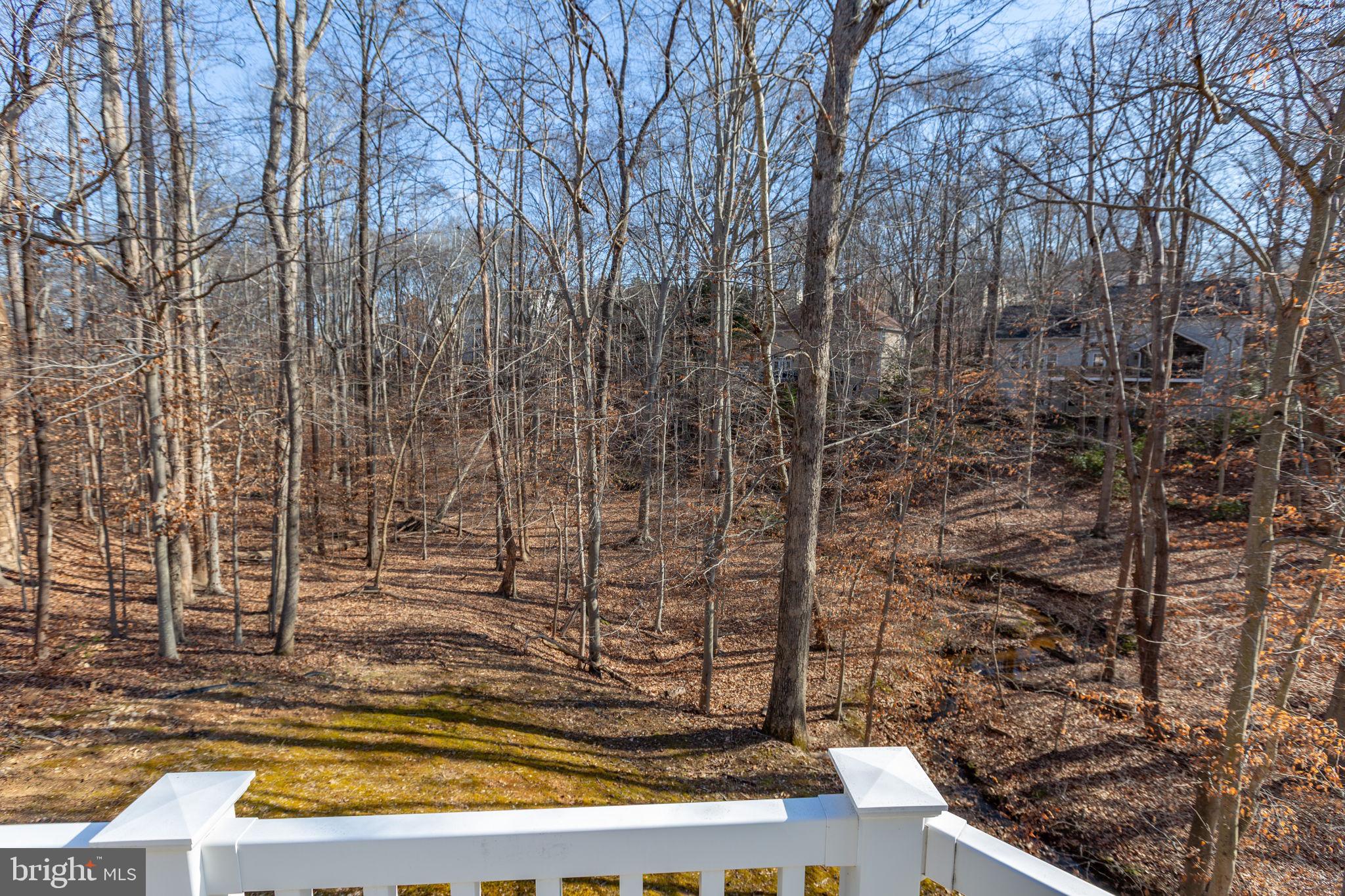 HILLS AT SNOWDEN - Residential