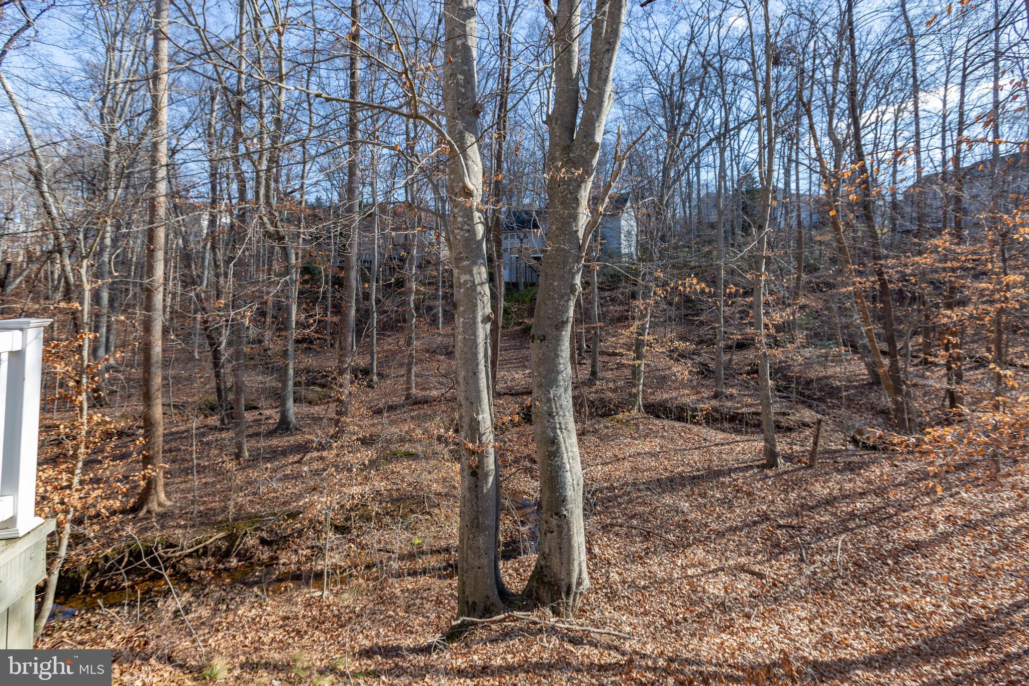 HILLS AT SNOWDEN - Residential
