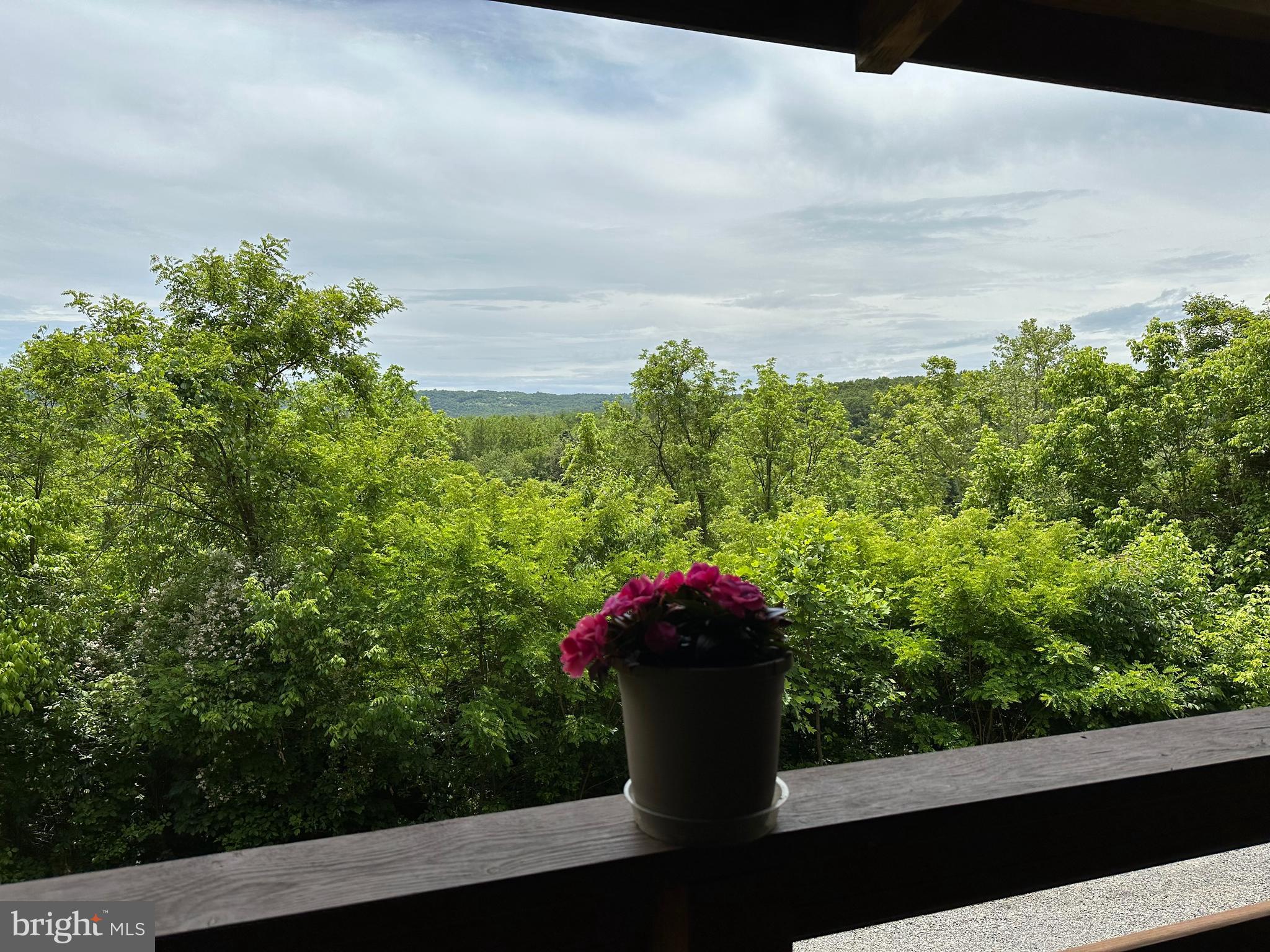 BLUE MEADOWS - Residential