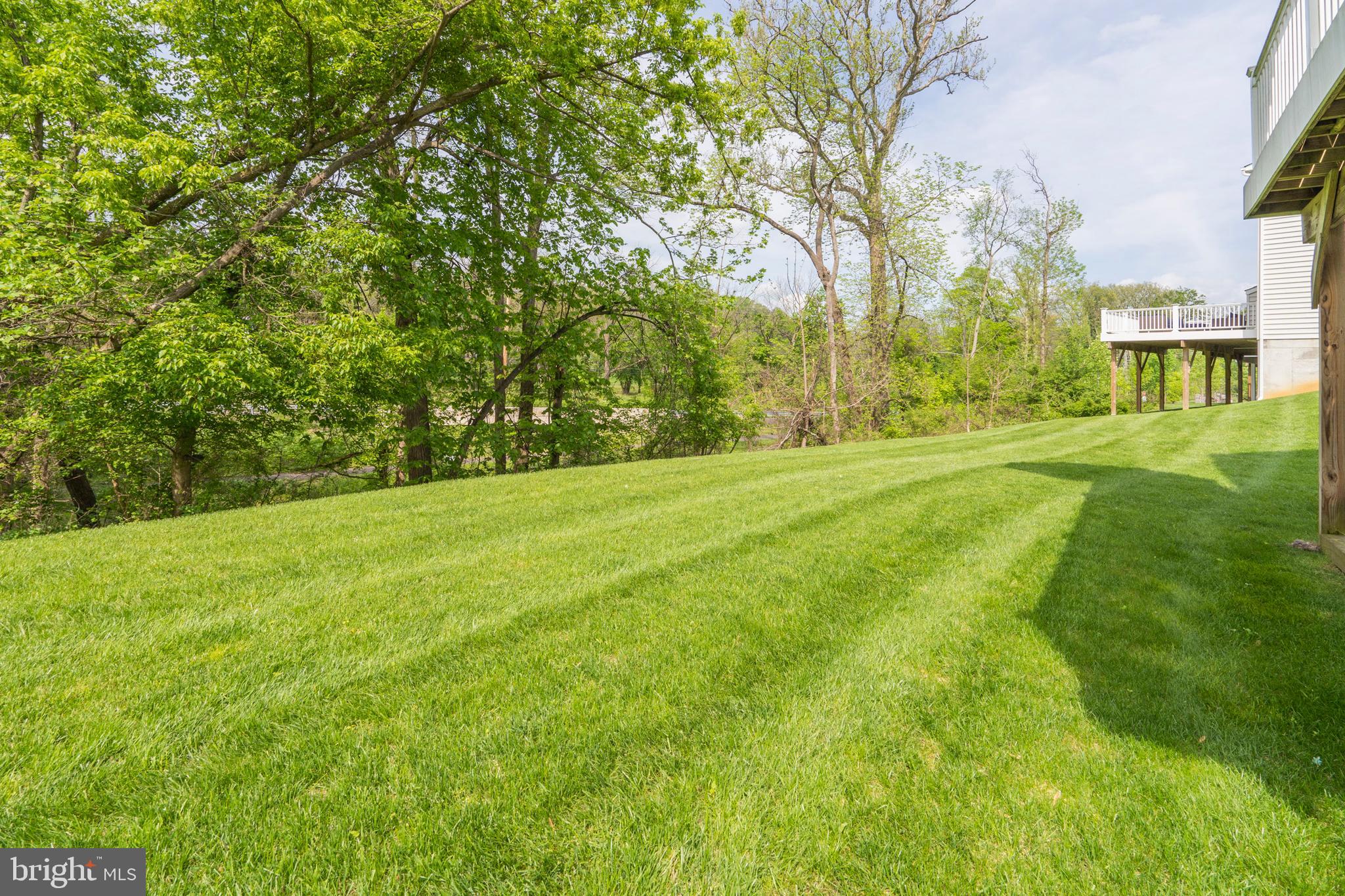 SPRINGFIELD MANOR - Residential