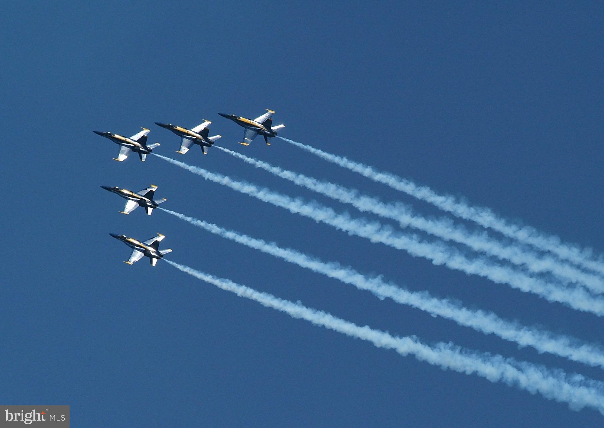 MURRAY HILL - Residential