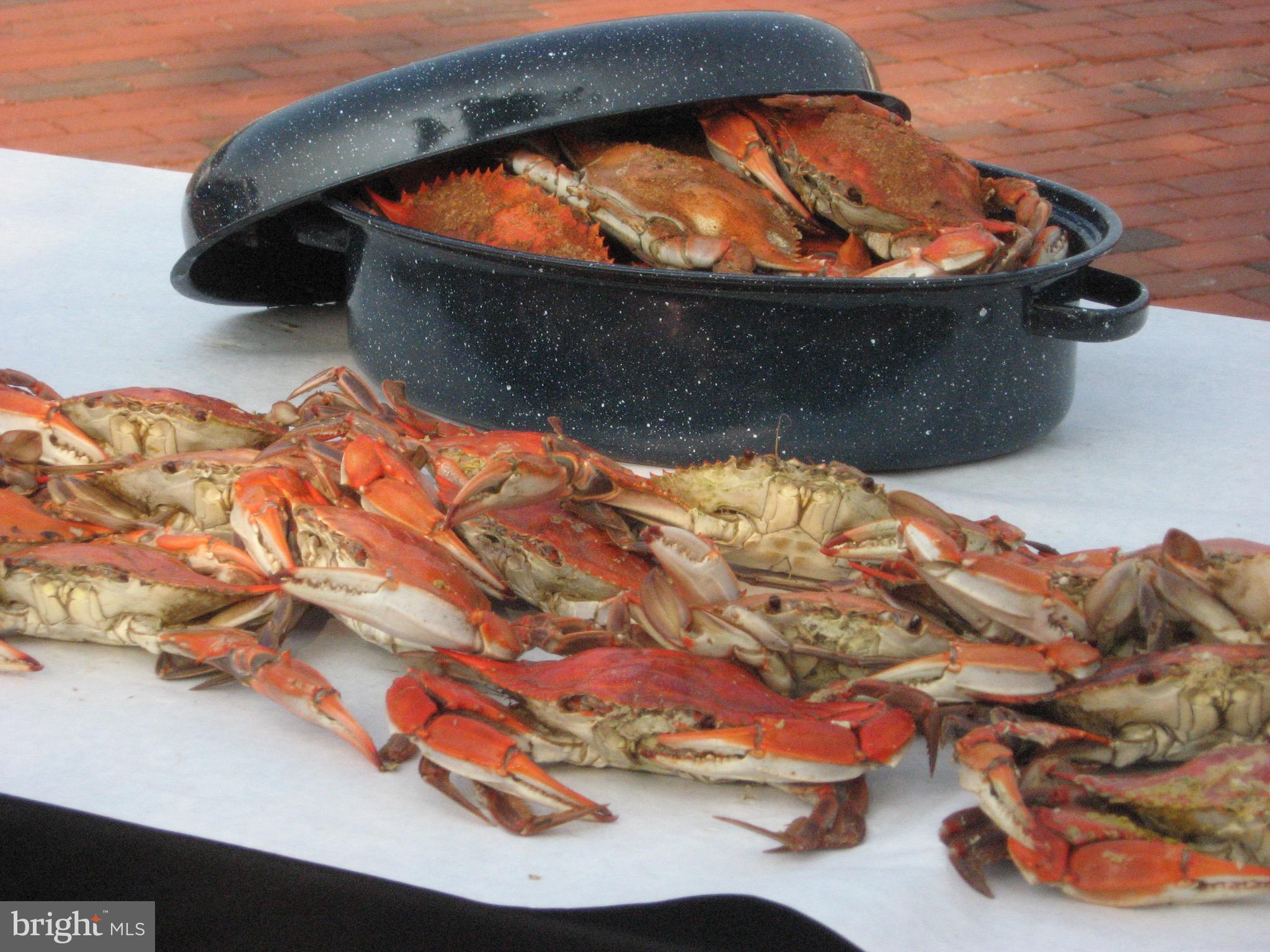 MURRAY HILL - Residential