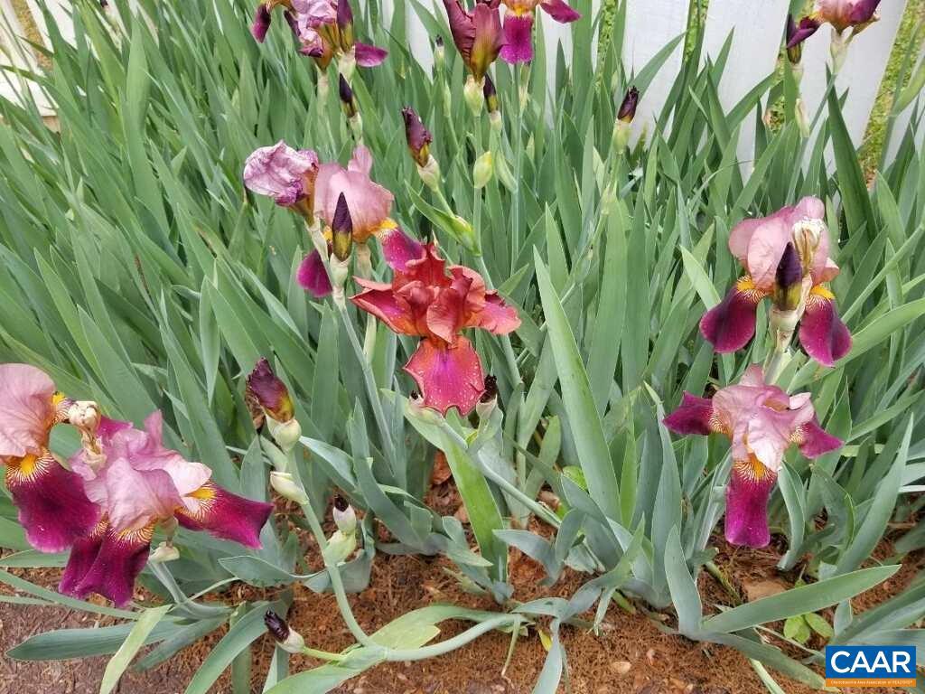 LOFTLANDS WOODS - Residential