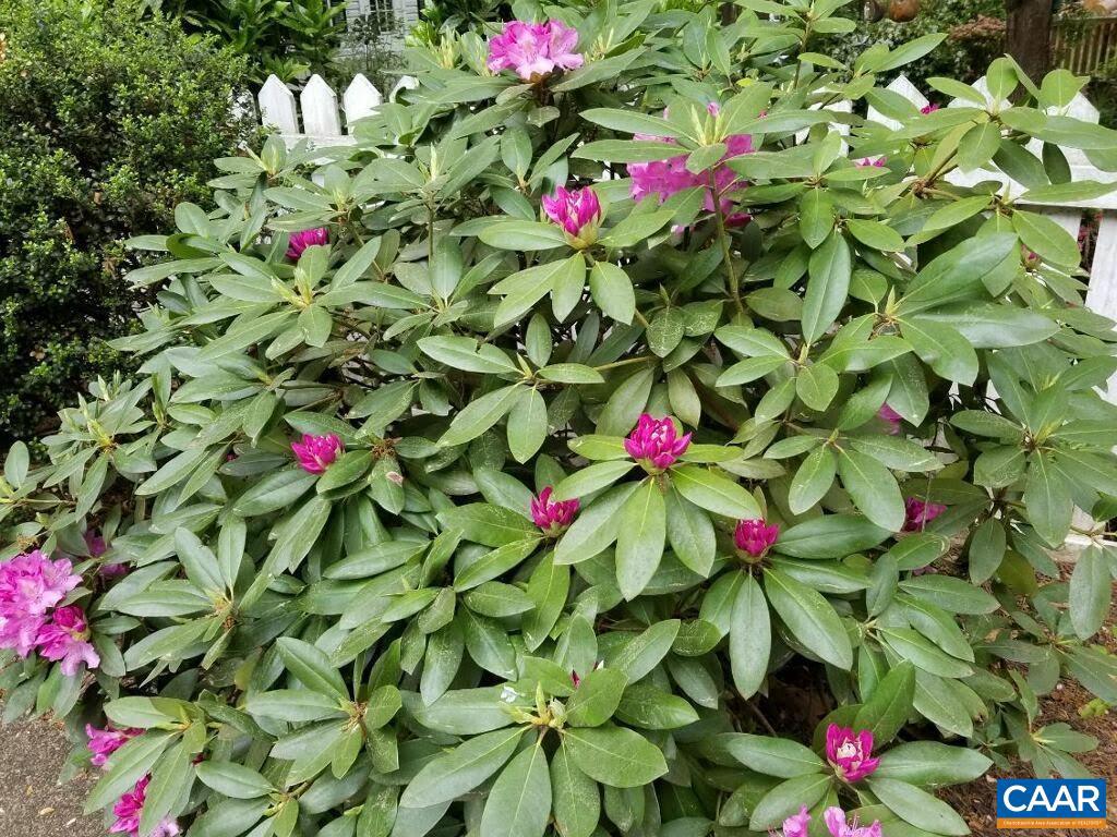 LOFTLANDS WOODS - Residential