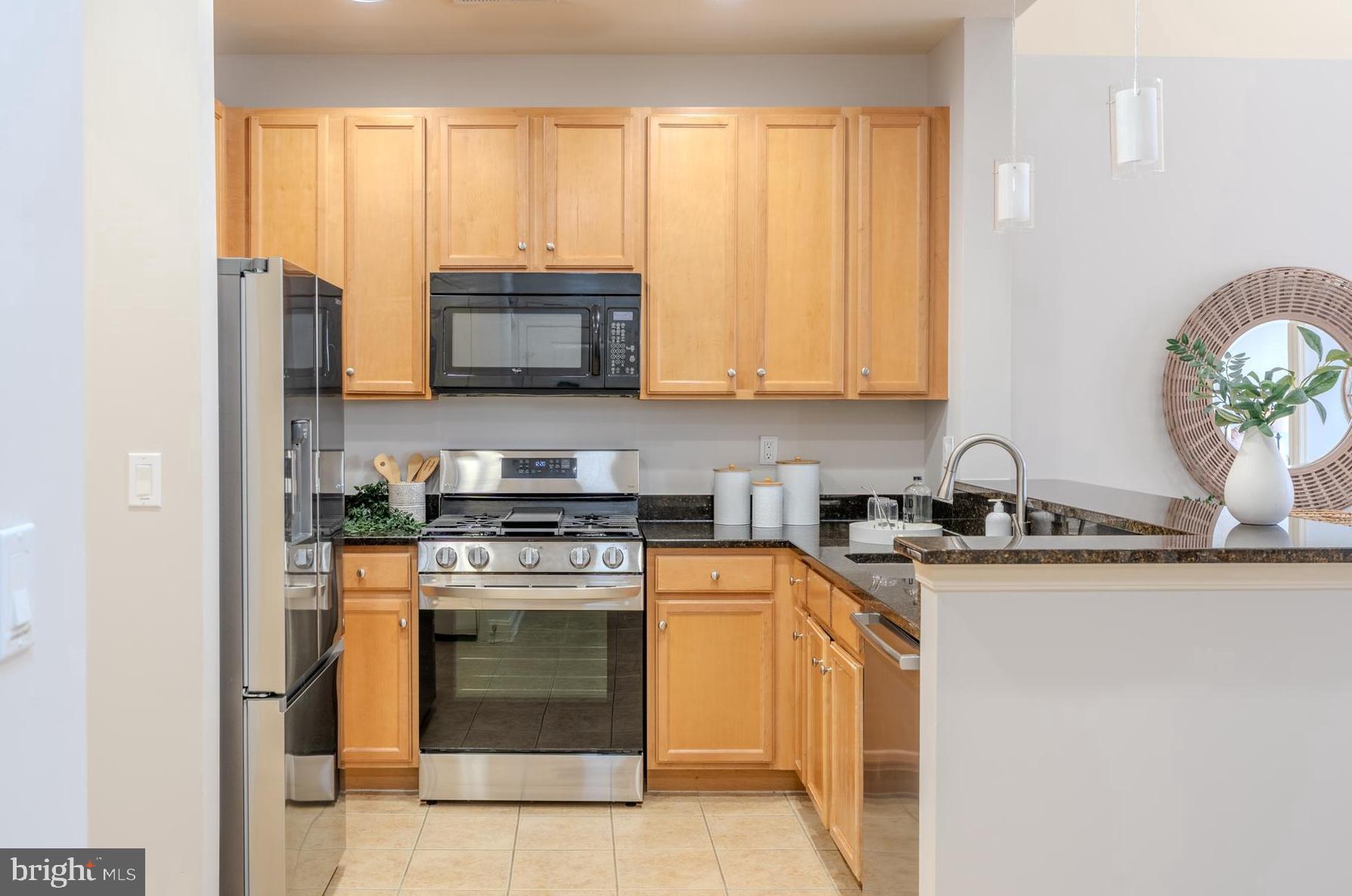 HALSTEAD AT THE METRO - Residential