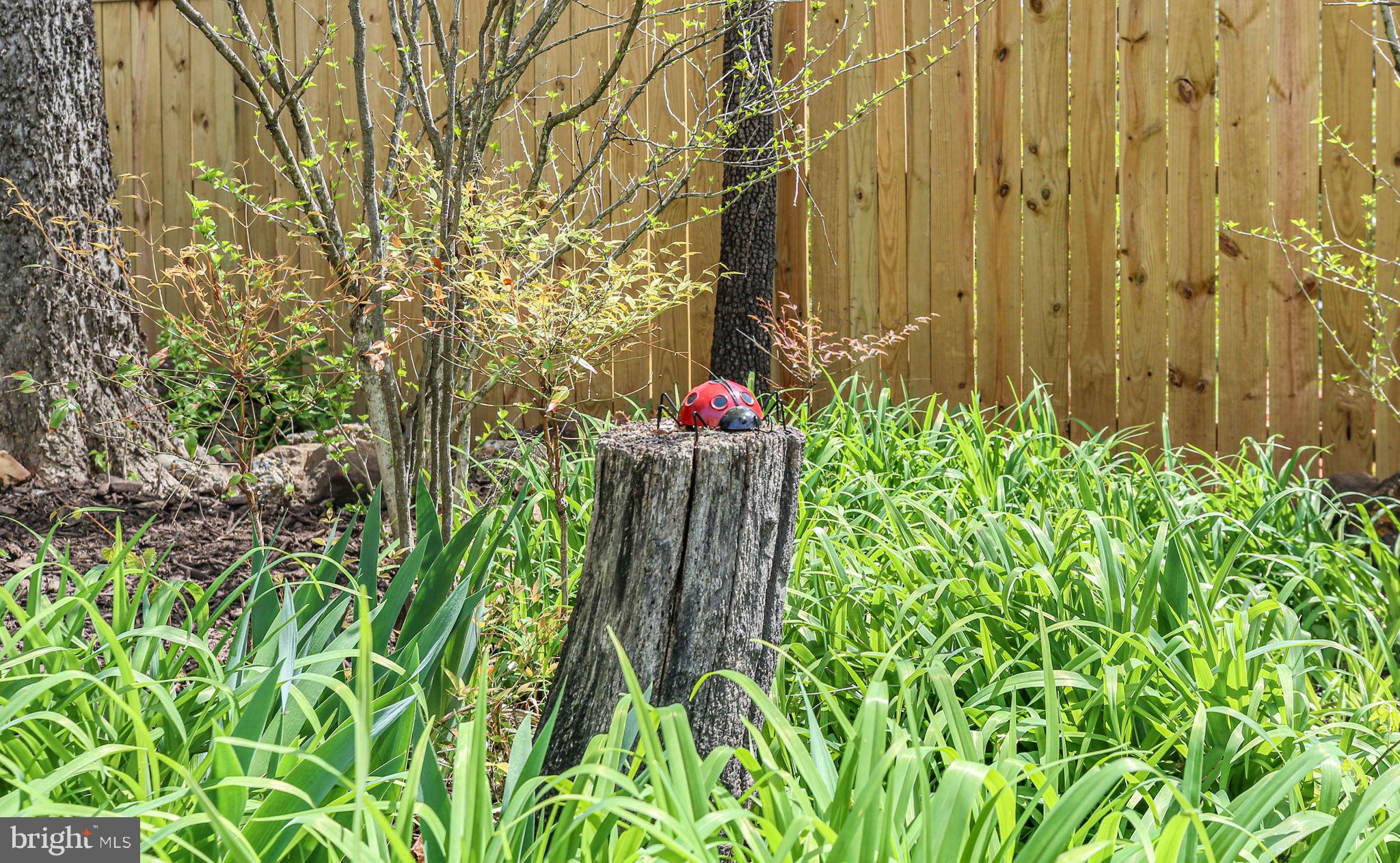 AQUIA HARBOUR - Residential