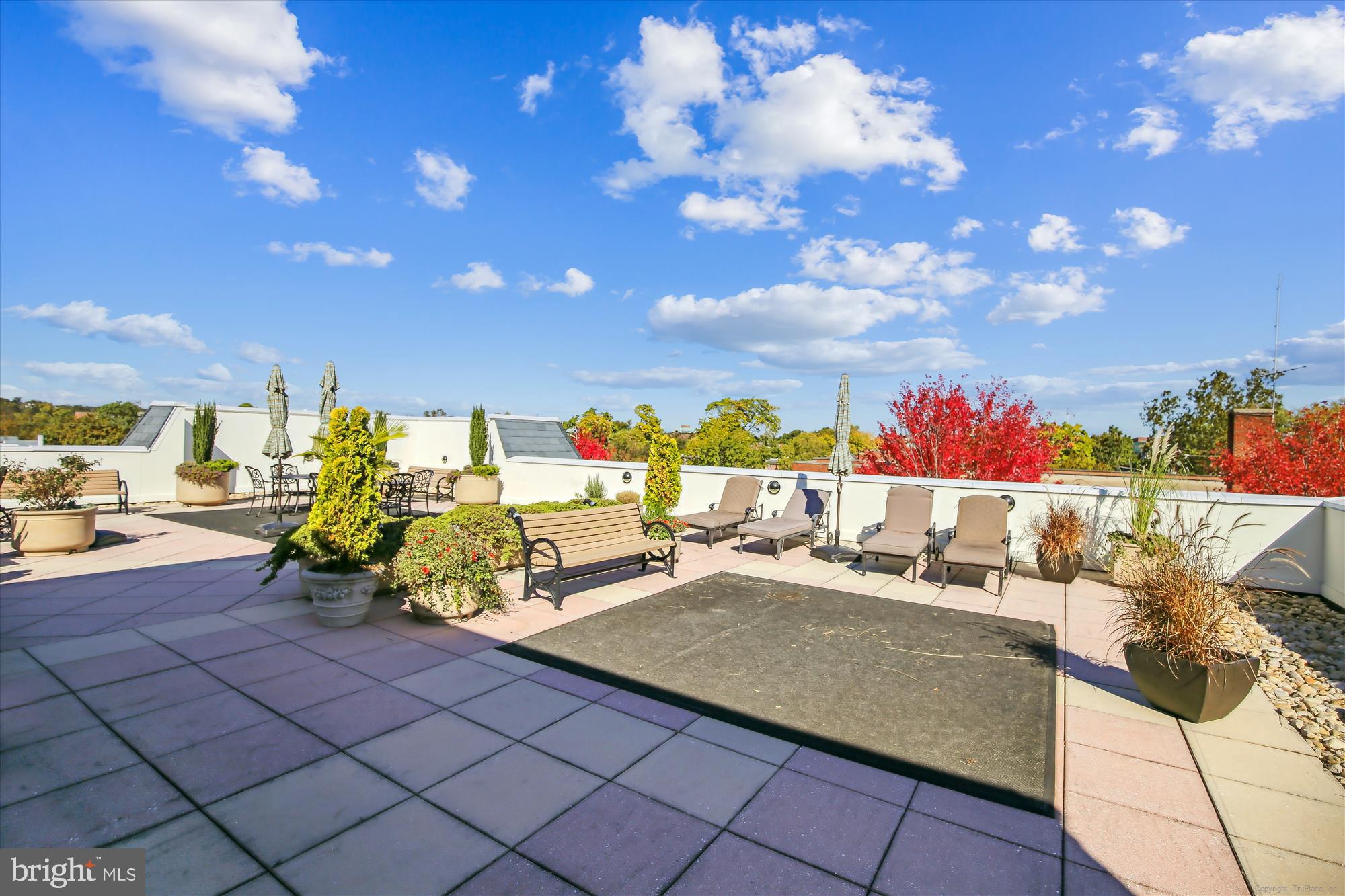 THE PRESCOTT - Residential Lease