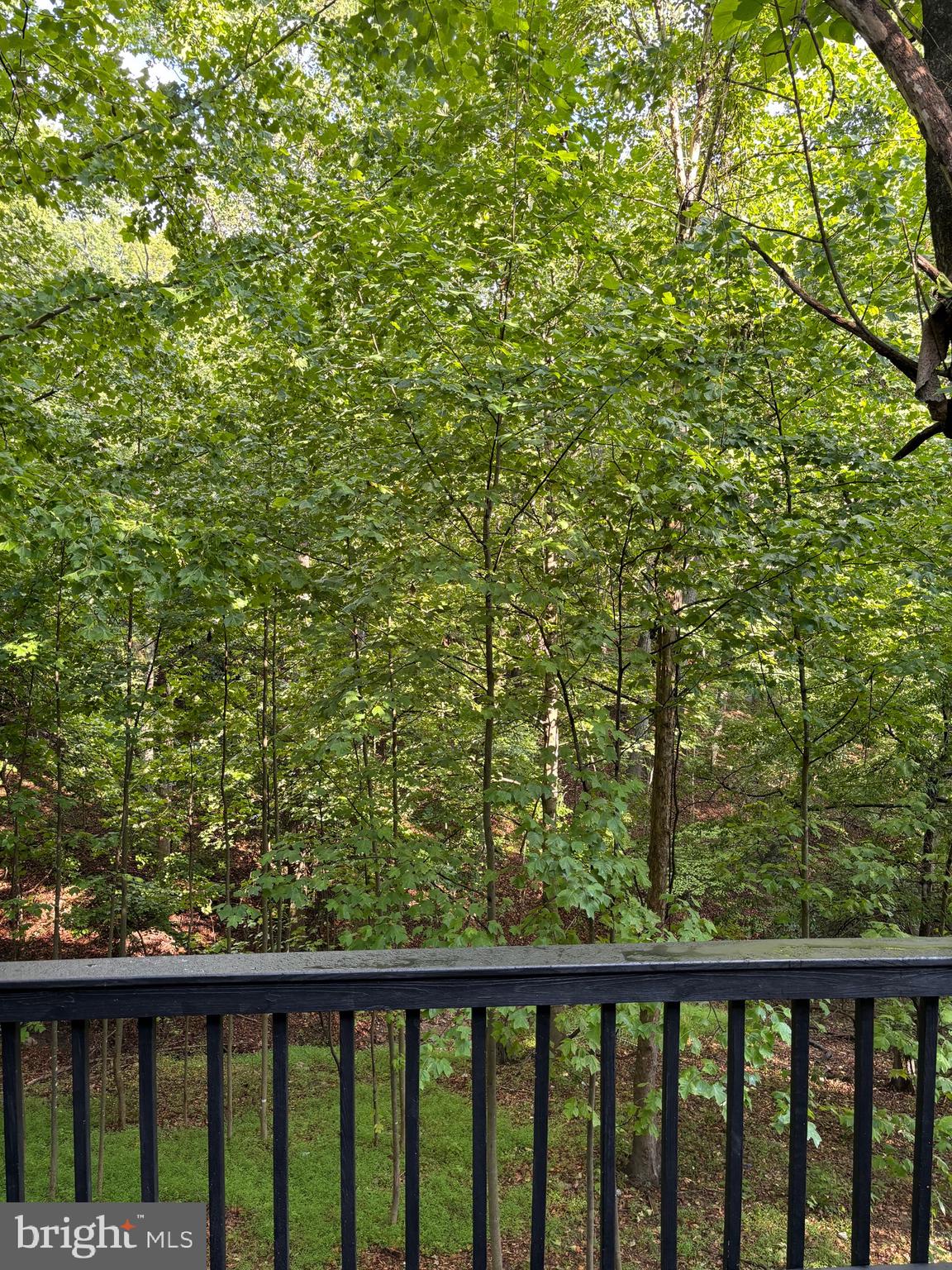 APPLE MT LAKE WEST - Residential