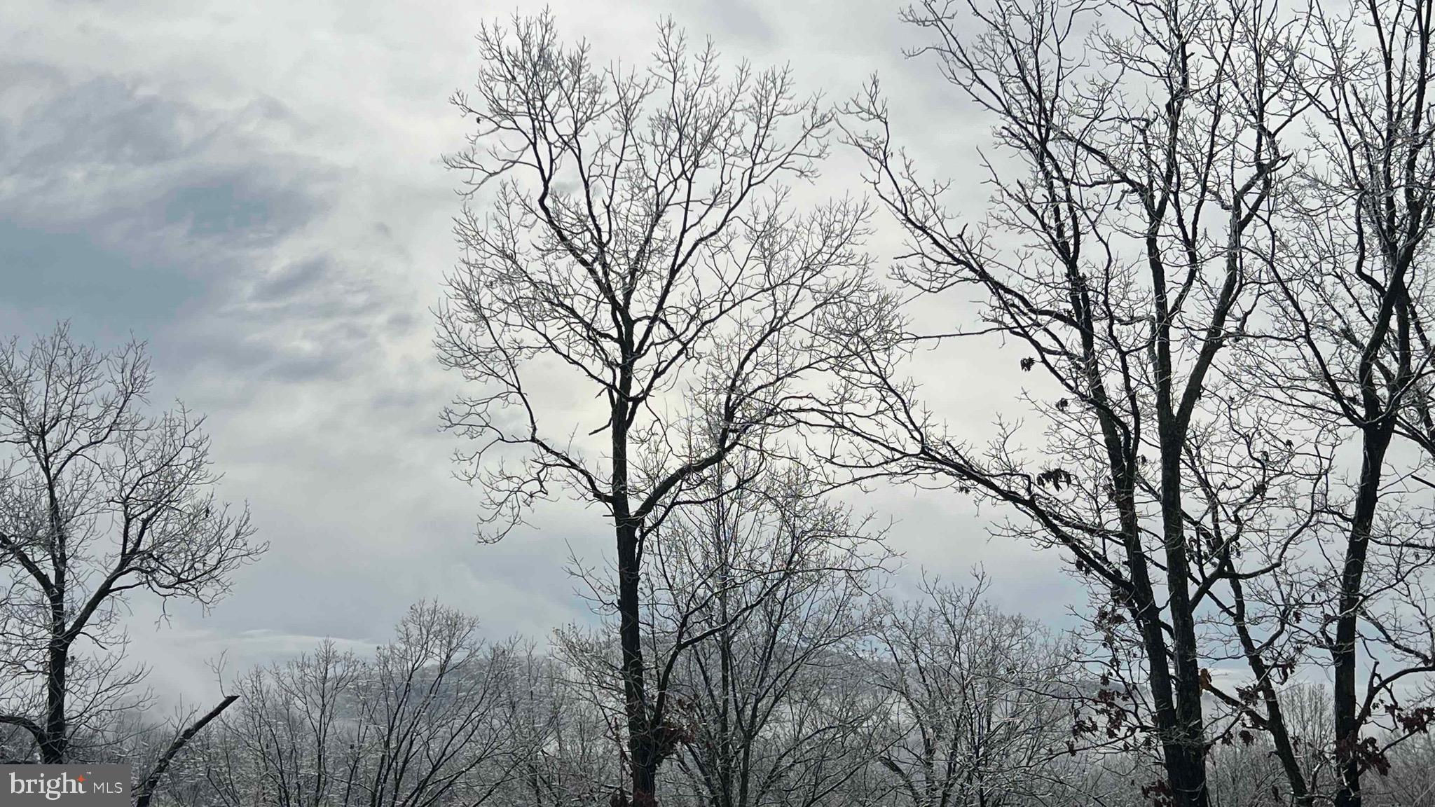 APPLE MT LAKE WEST - Residential