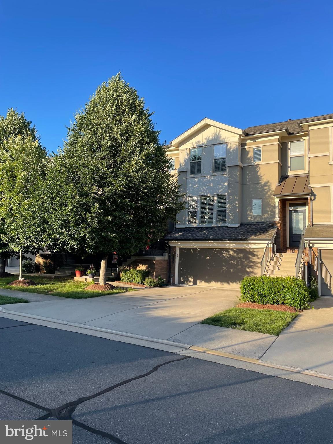 23294 EVENING PRIMROSE SQUARE