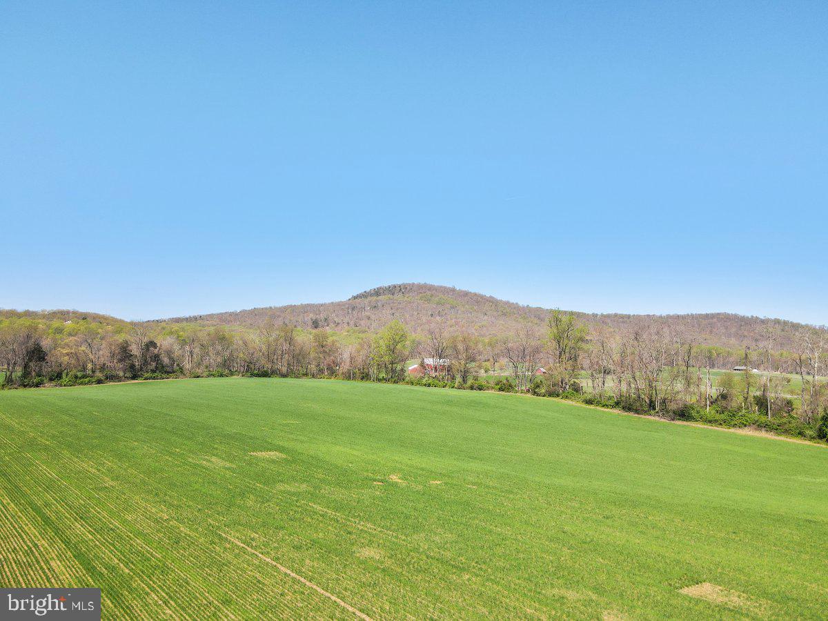 p522 (ref 17709) COMUS ROAD