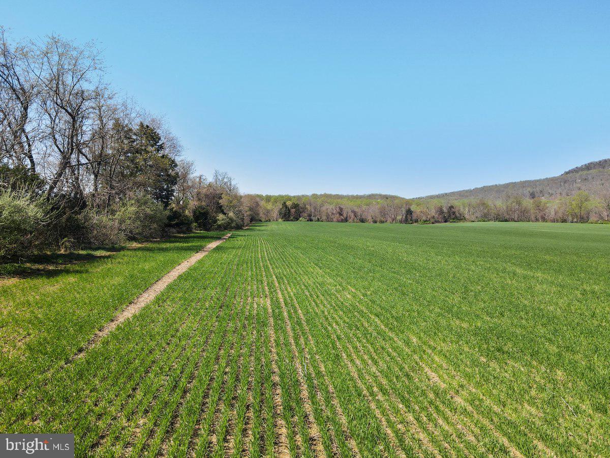 p522 (ref 17709) COMUS ROAD