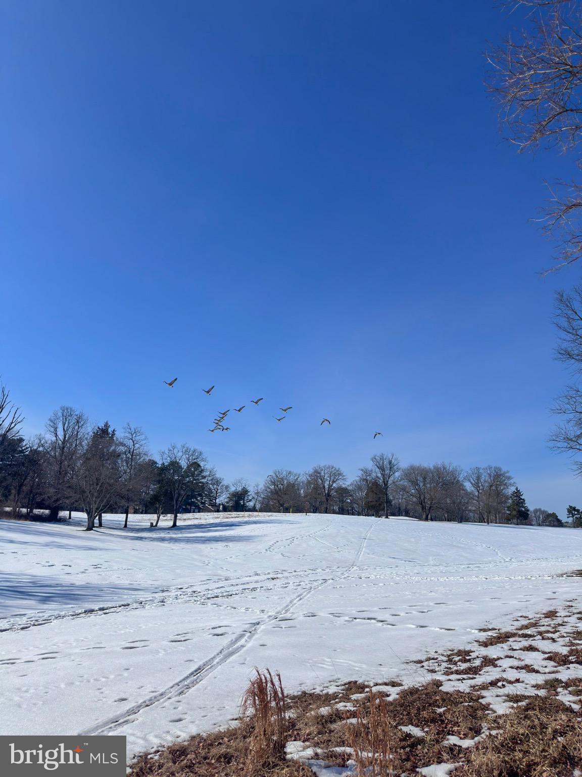 GOLF COURSE SQUARE - Residential