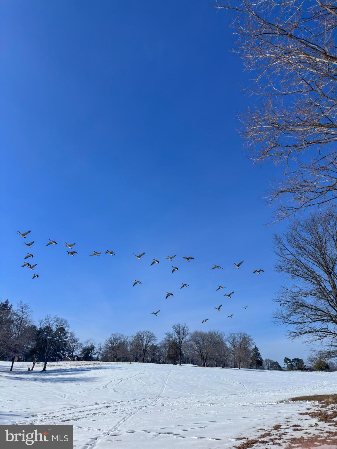 GOLF COURSE SQUARE - Residential