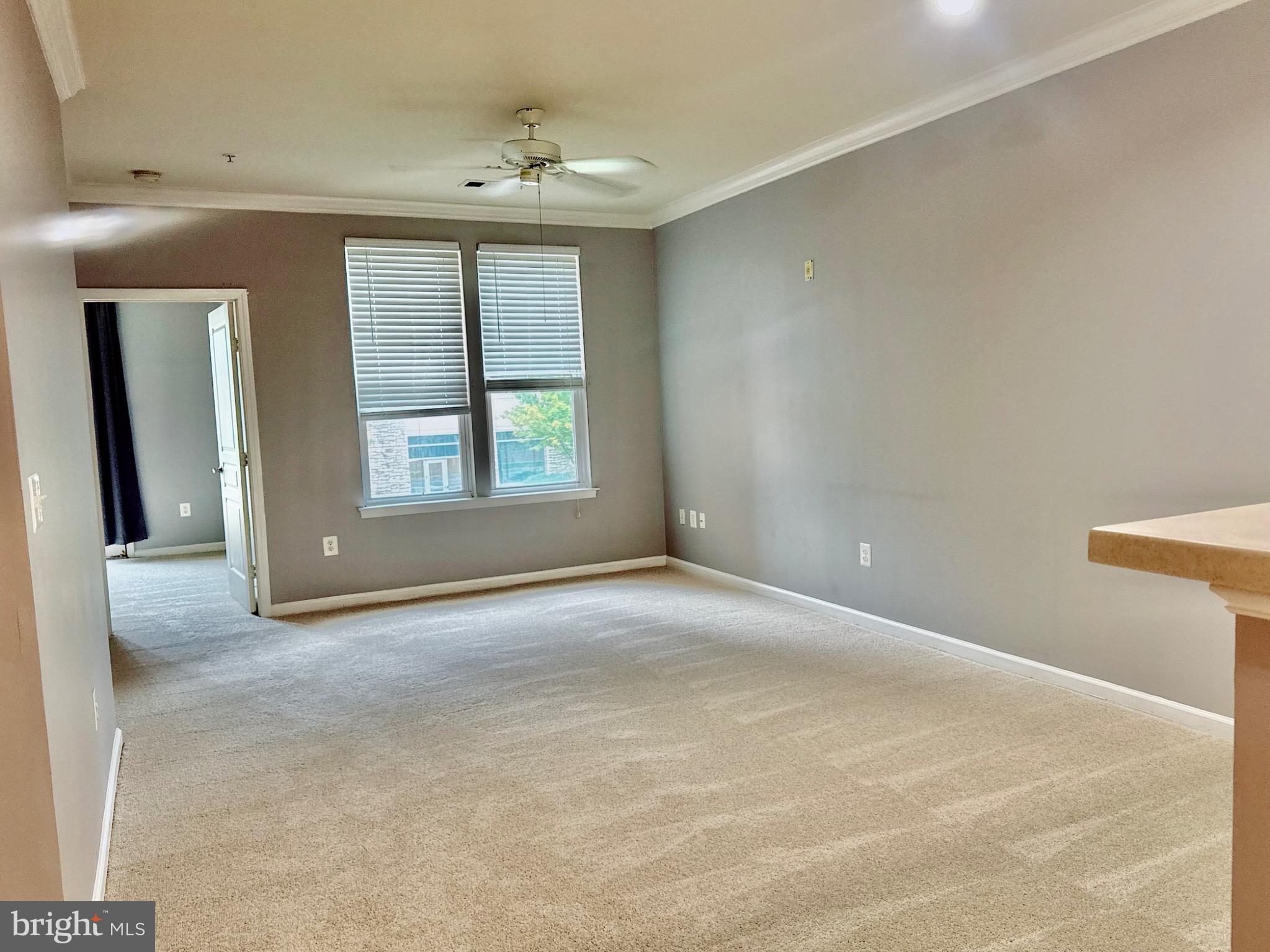 12001 MARKET STREET 159