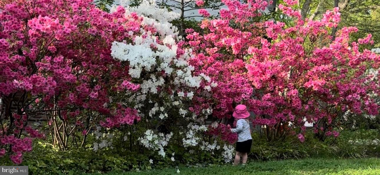 HOLMES RUN ACRES - Residential