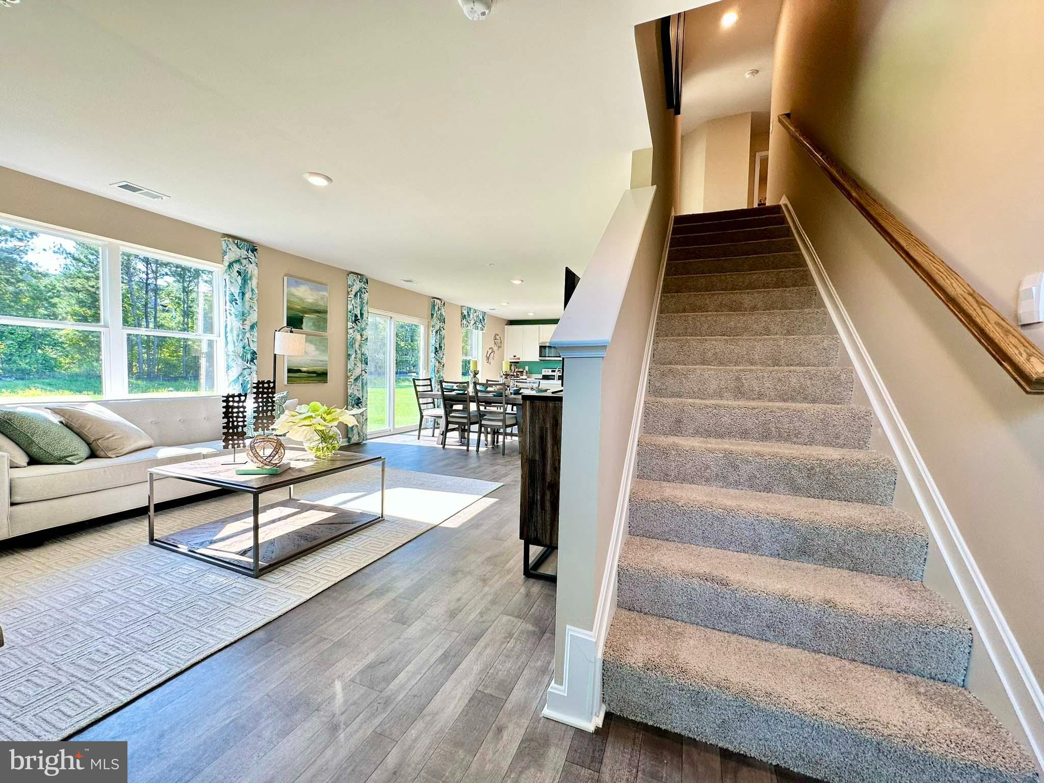 SASSAFRAS MEADOWS - Residential