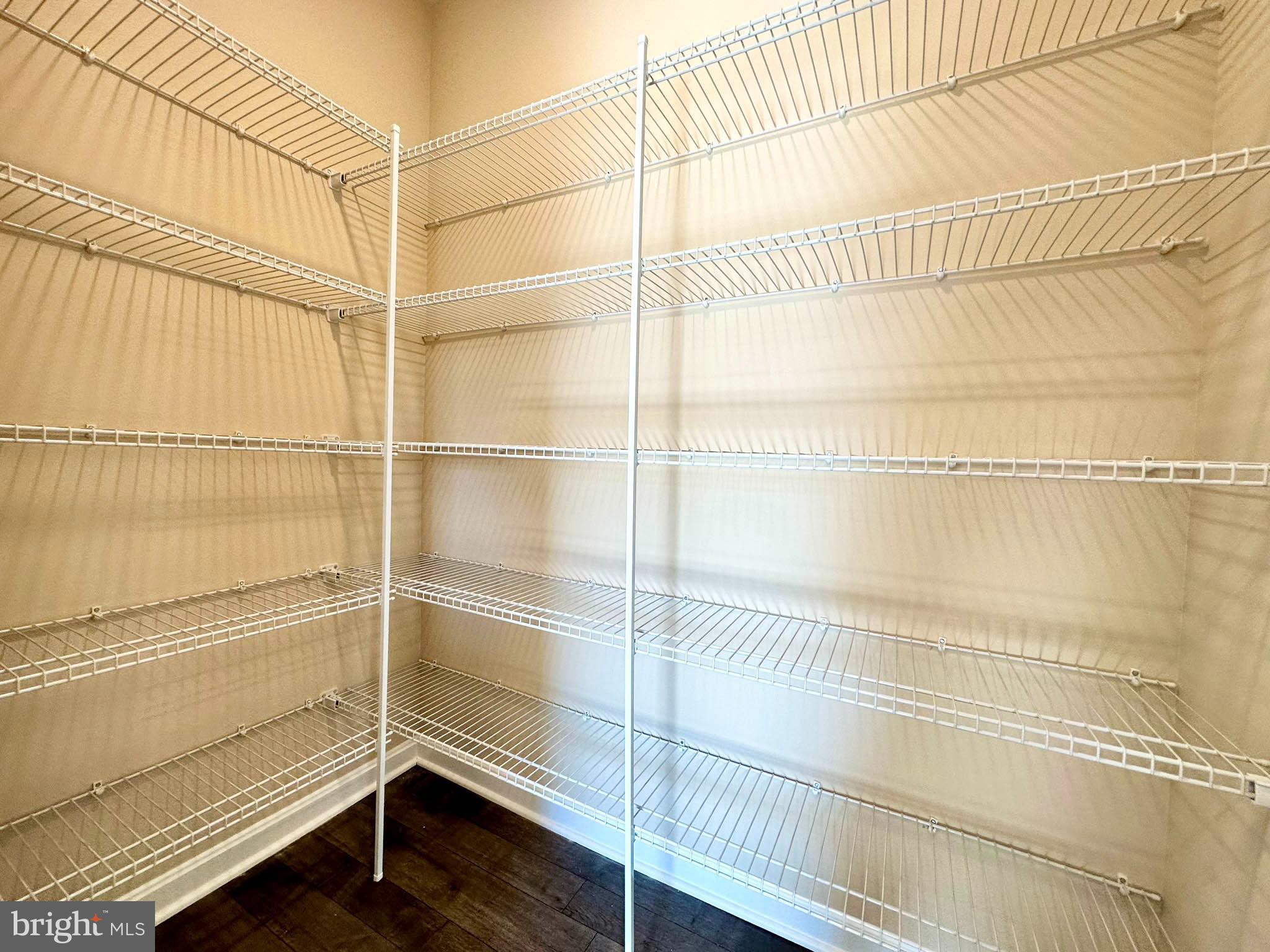 SASSAFRAS MEADOWS - Residential