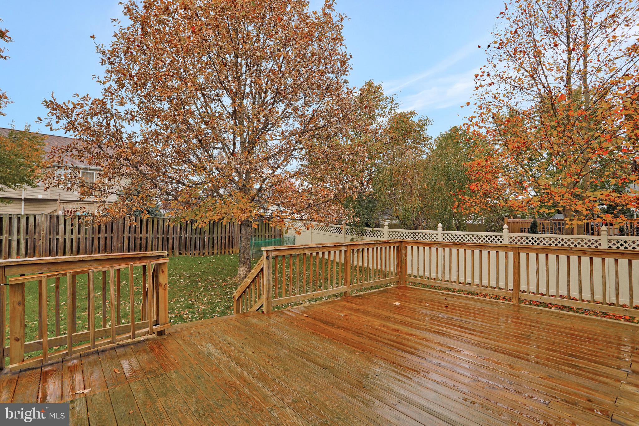 SYCAMORE VILLAGE - Residential